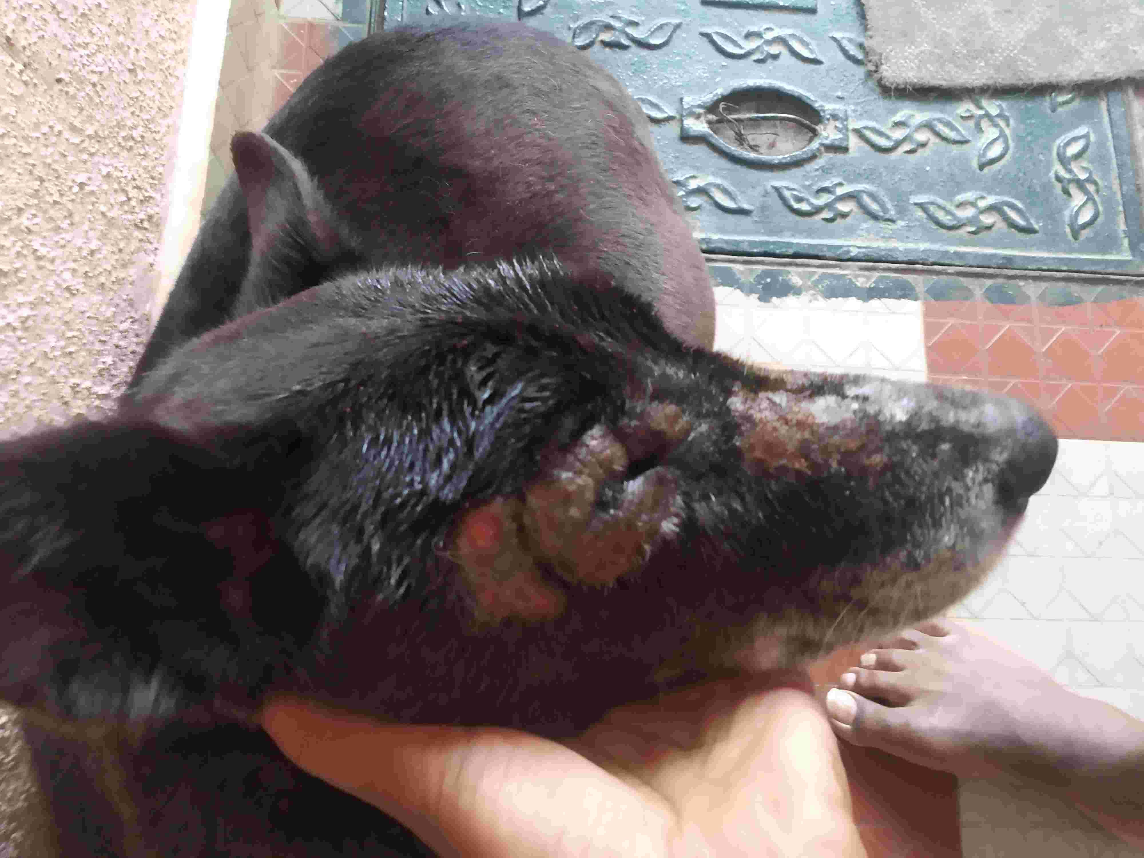 Question details sensitive content