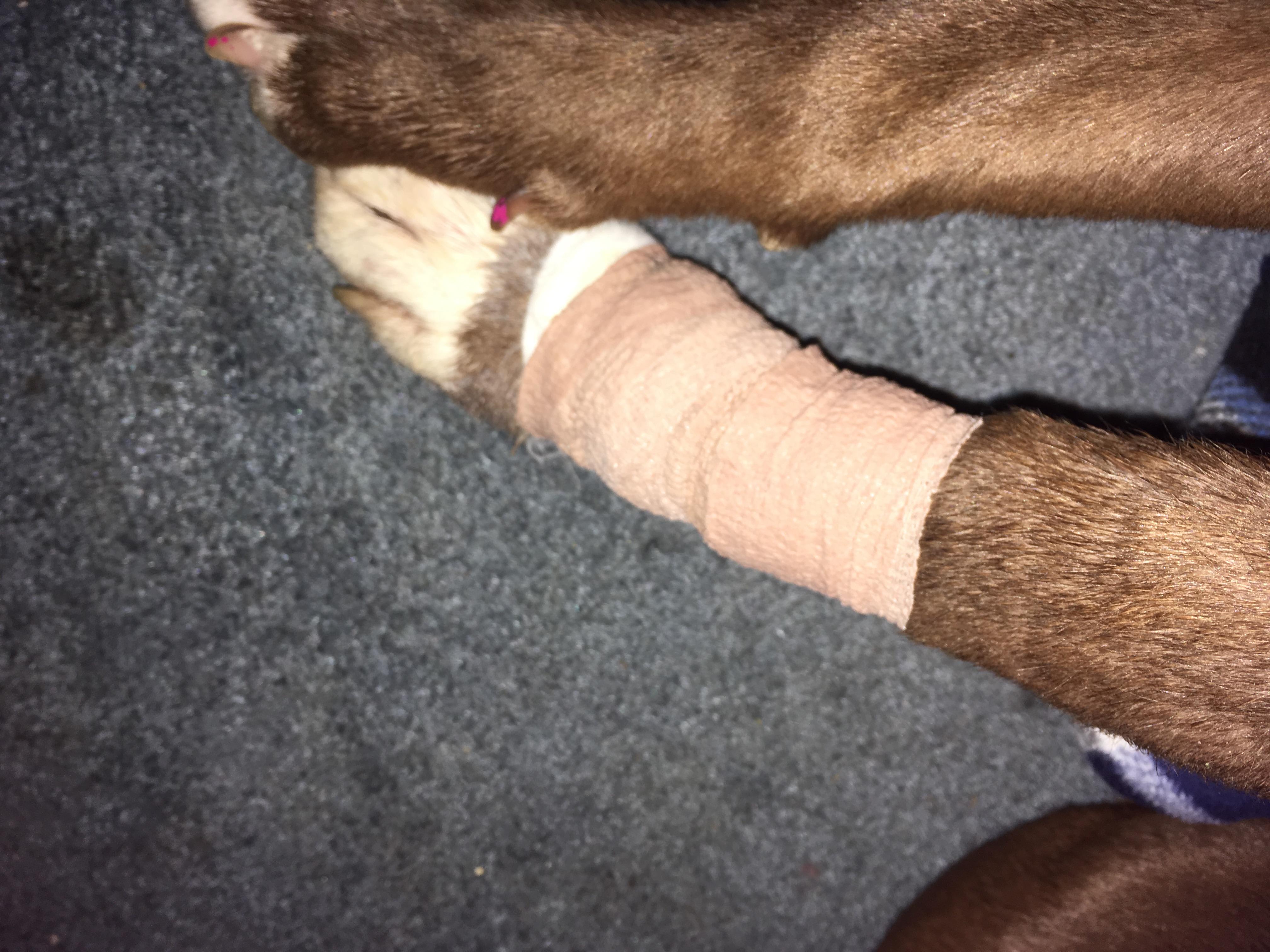 Question details sensitive content