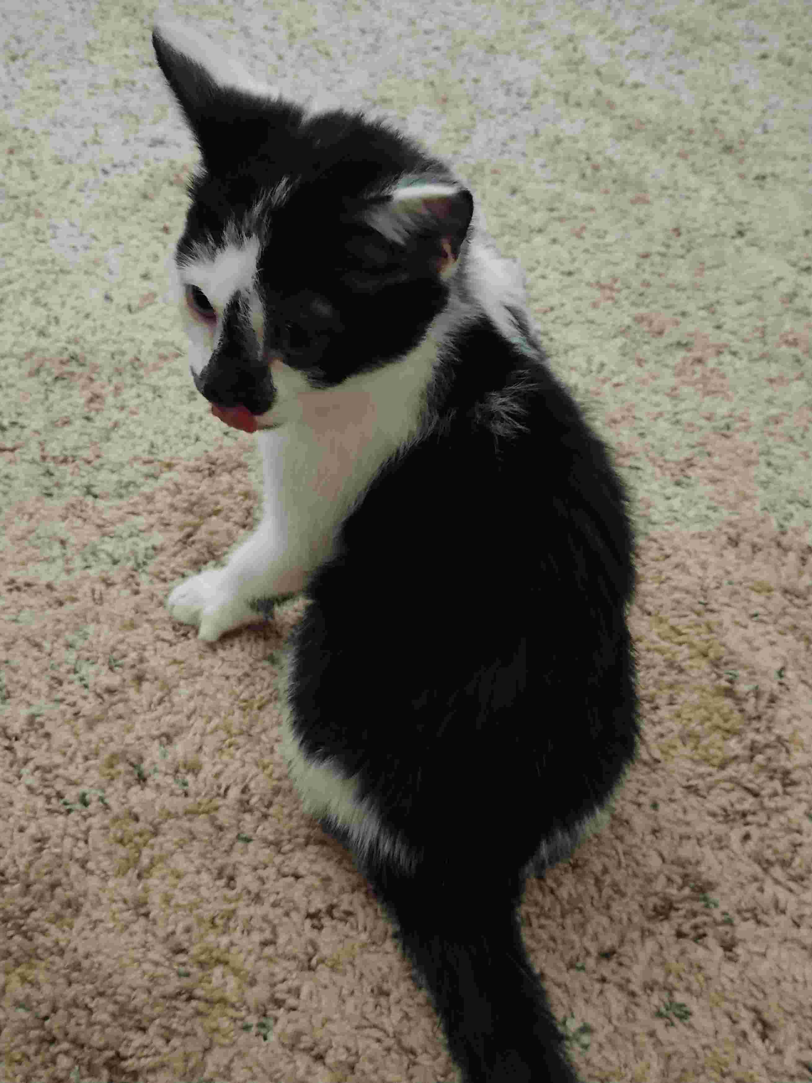 Question details sensitive content