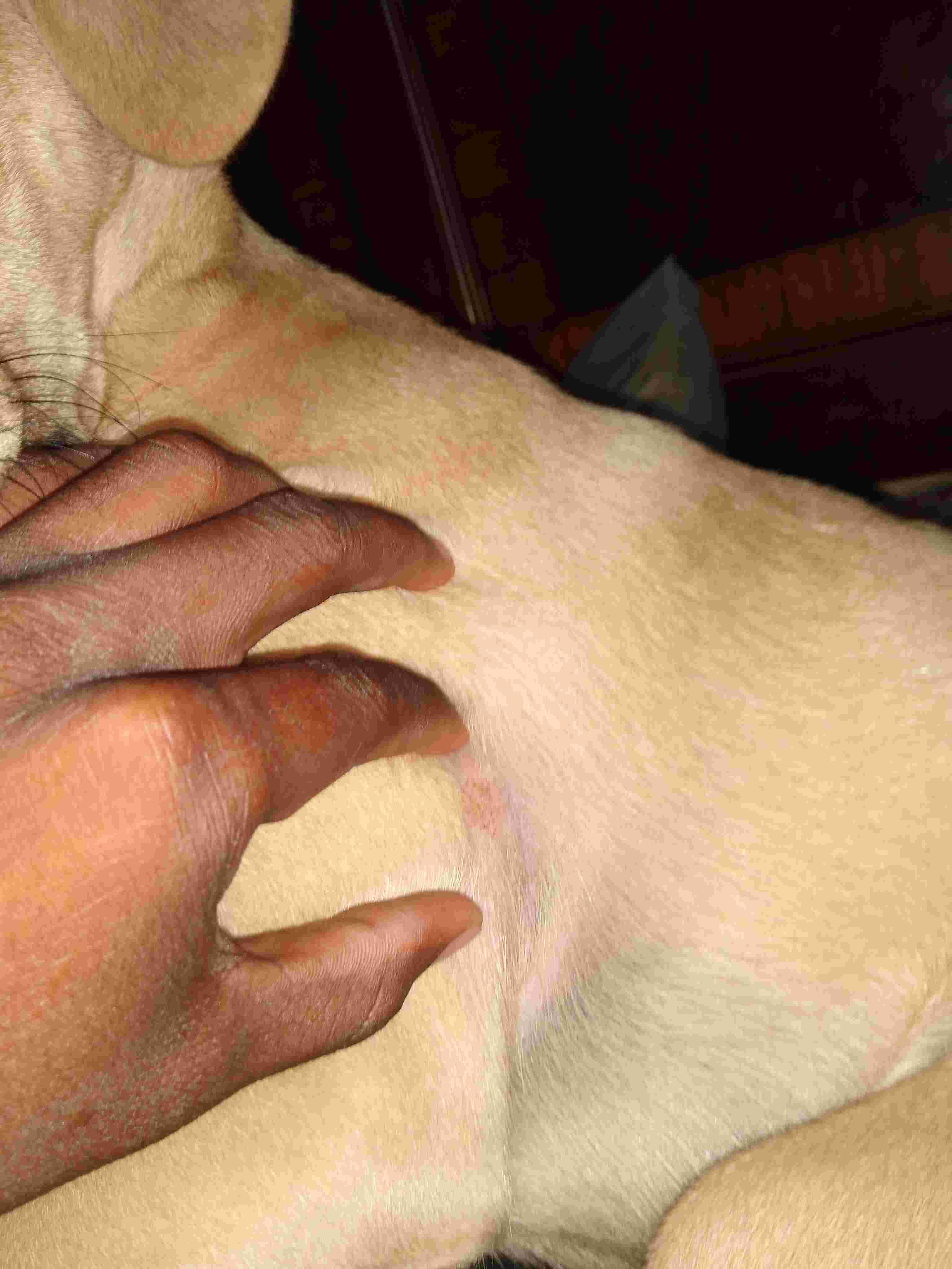 Question details sensitive content