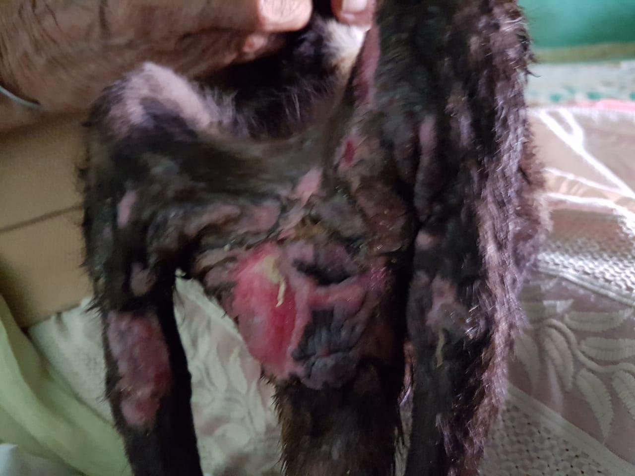 Question details sensitive content