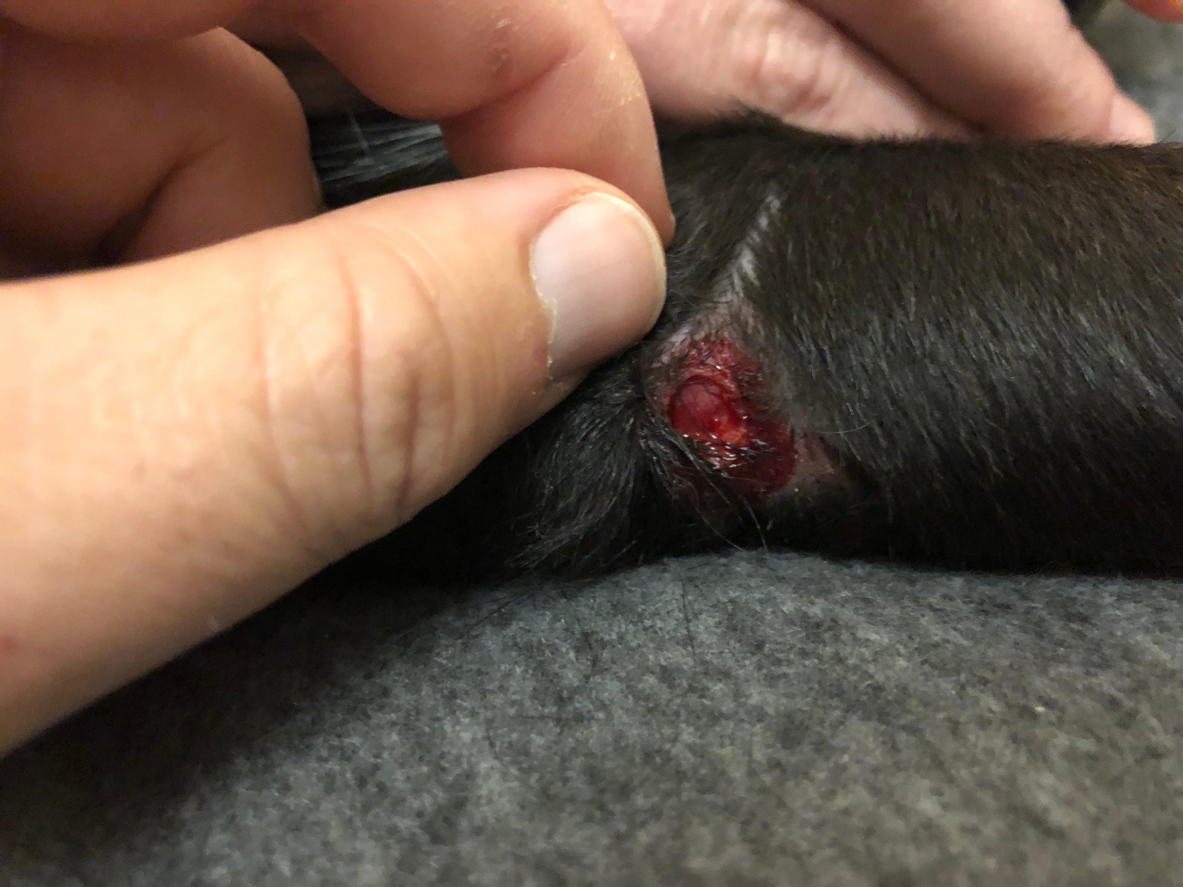 Question details sensitive content