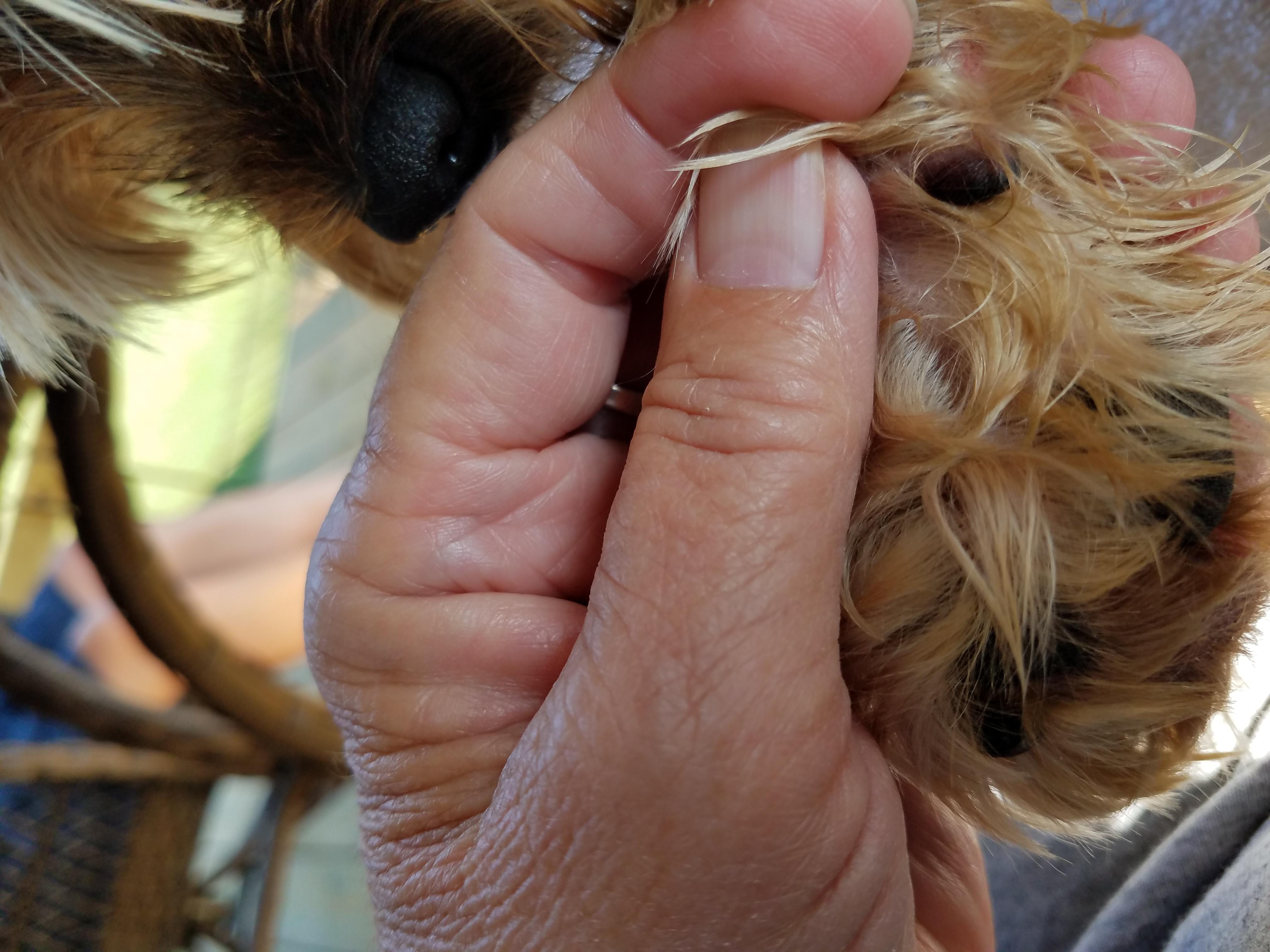 Question details sensitive content