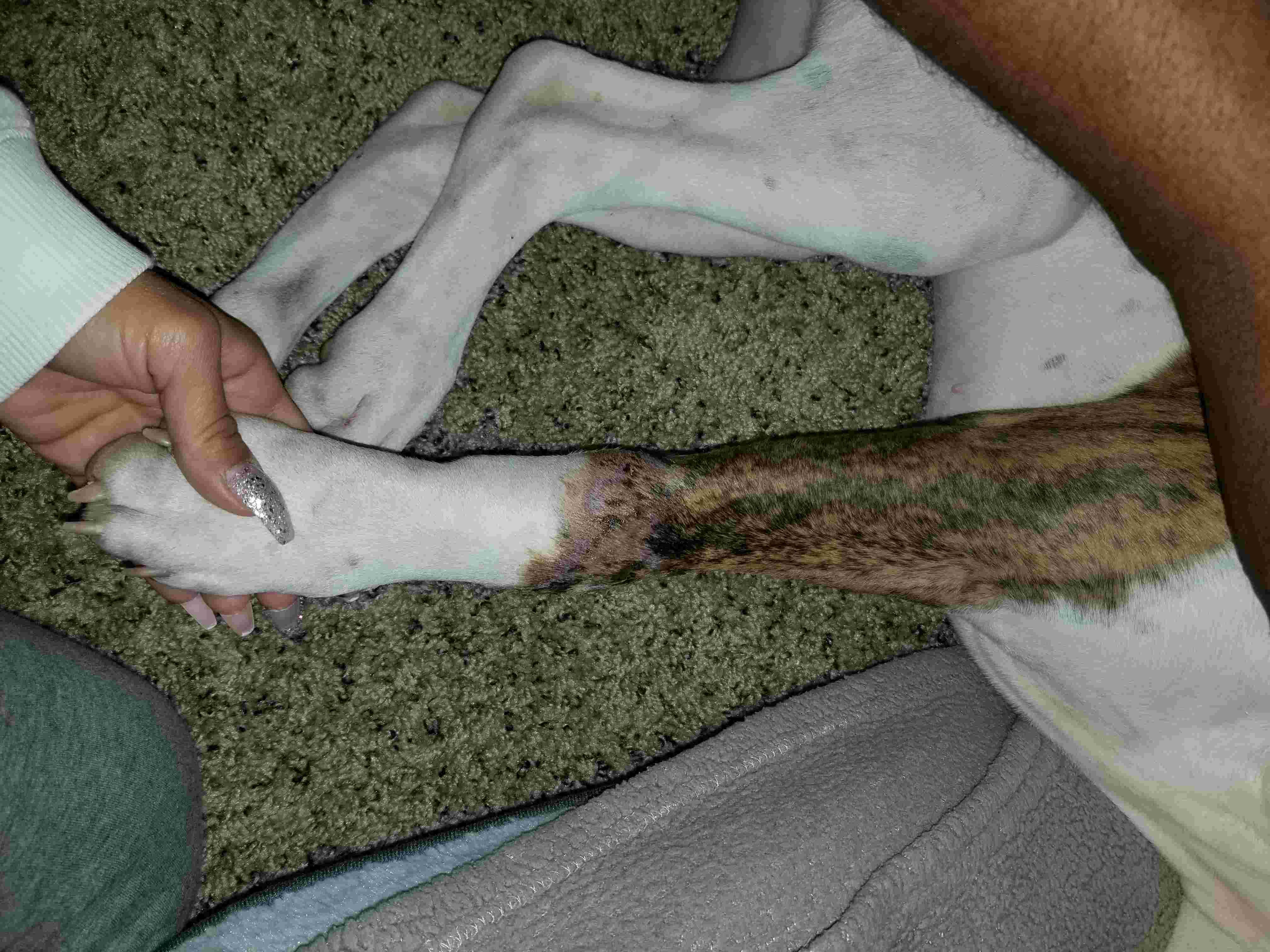 Question details sensitive content