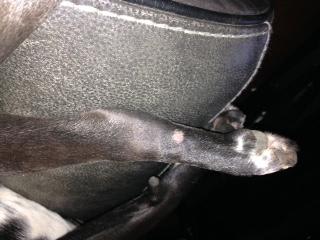 Question details sensitive content