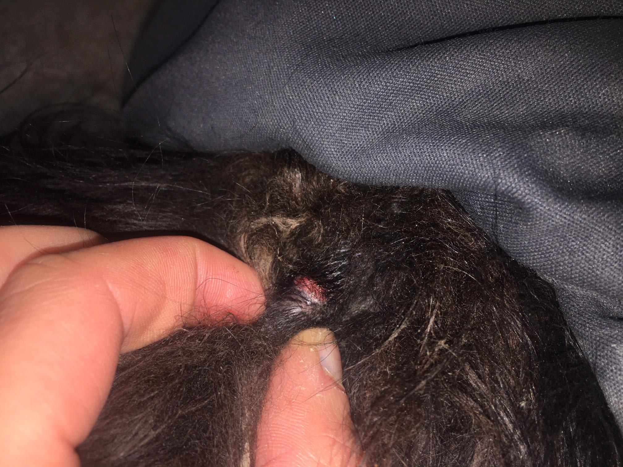 Question details sensitive content