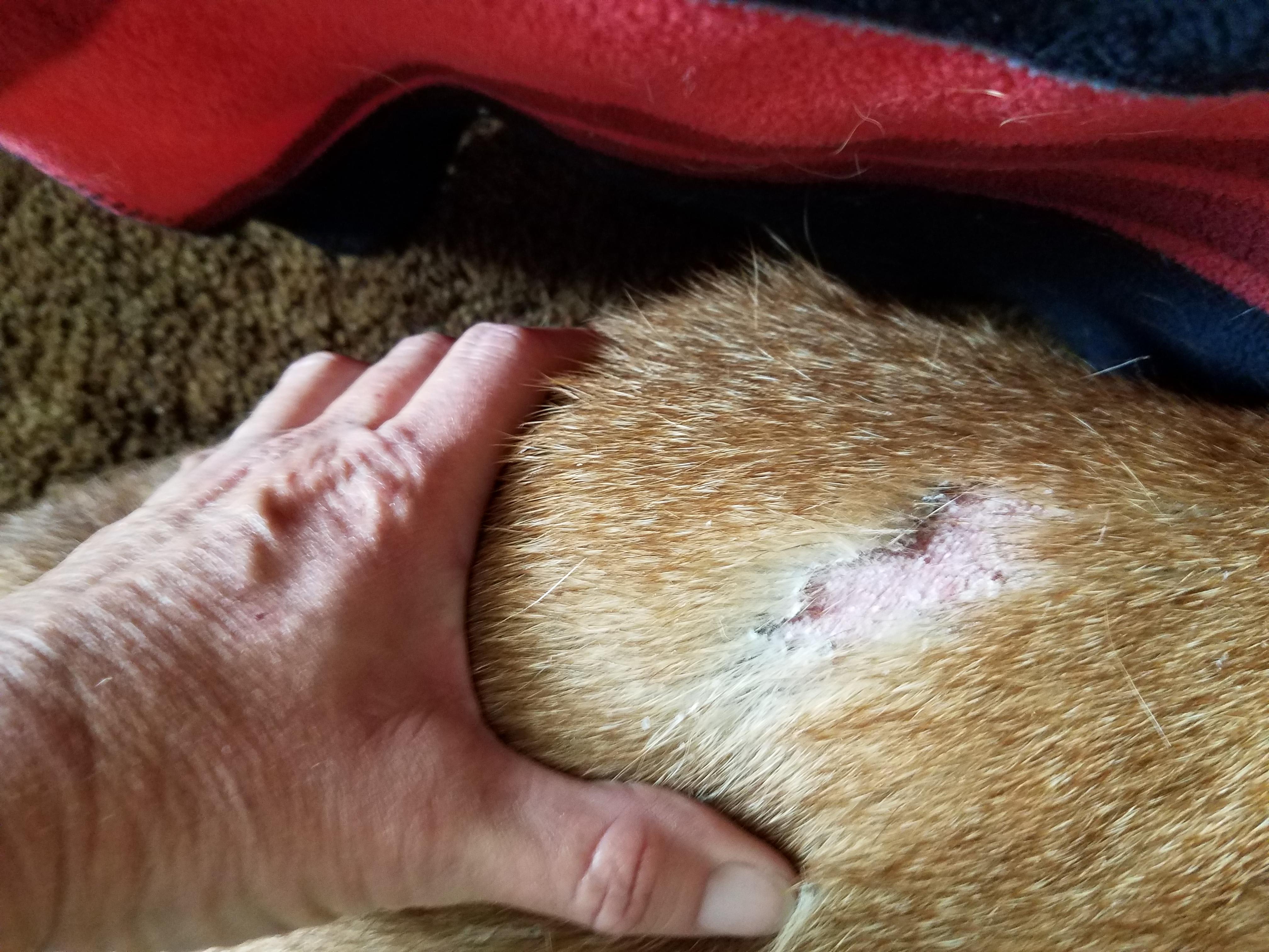 Question details sensitive content