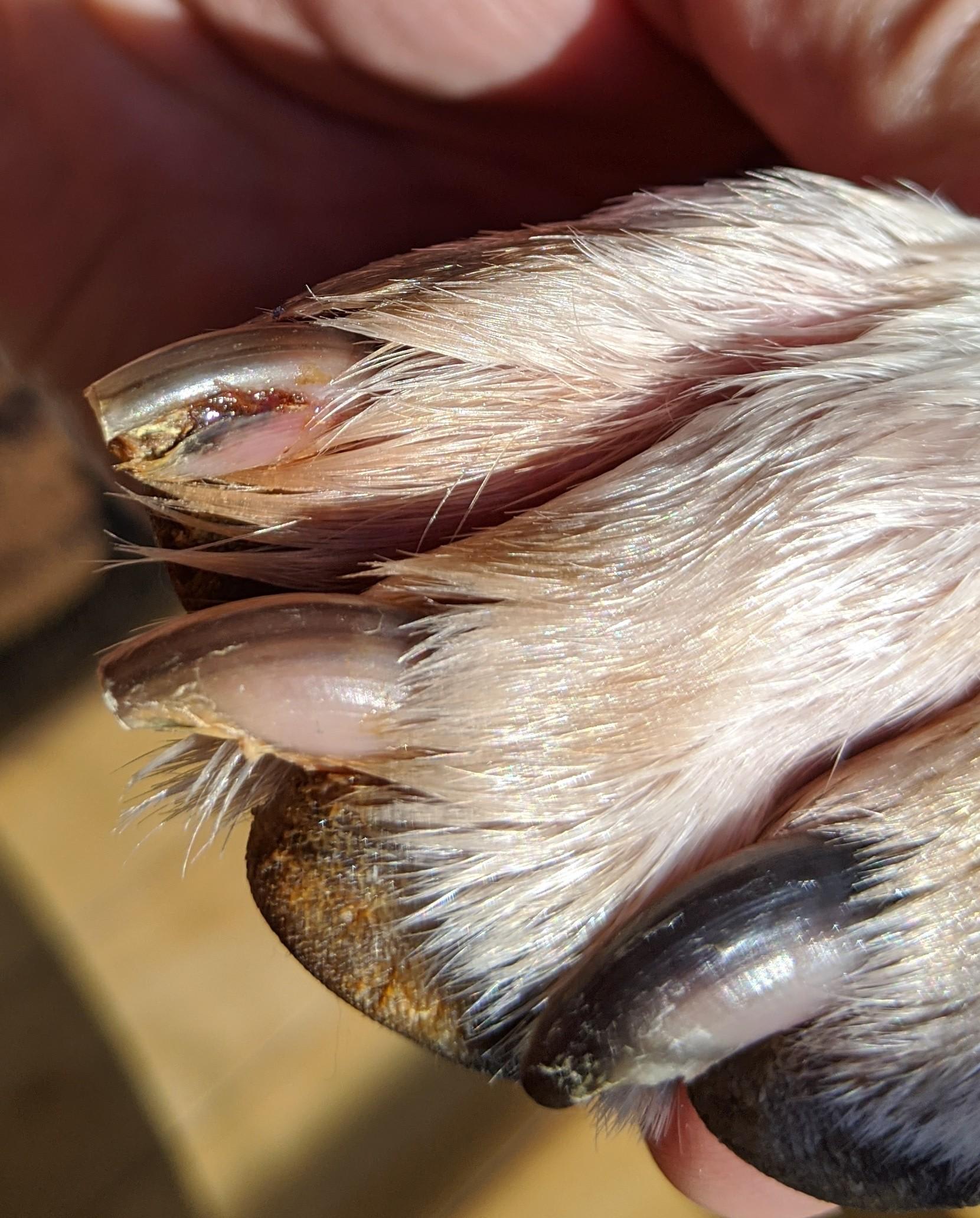 Question details sensitive content