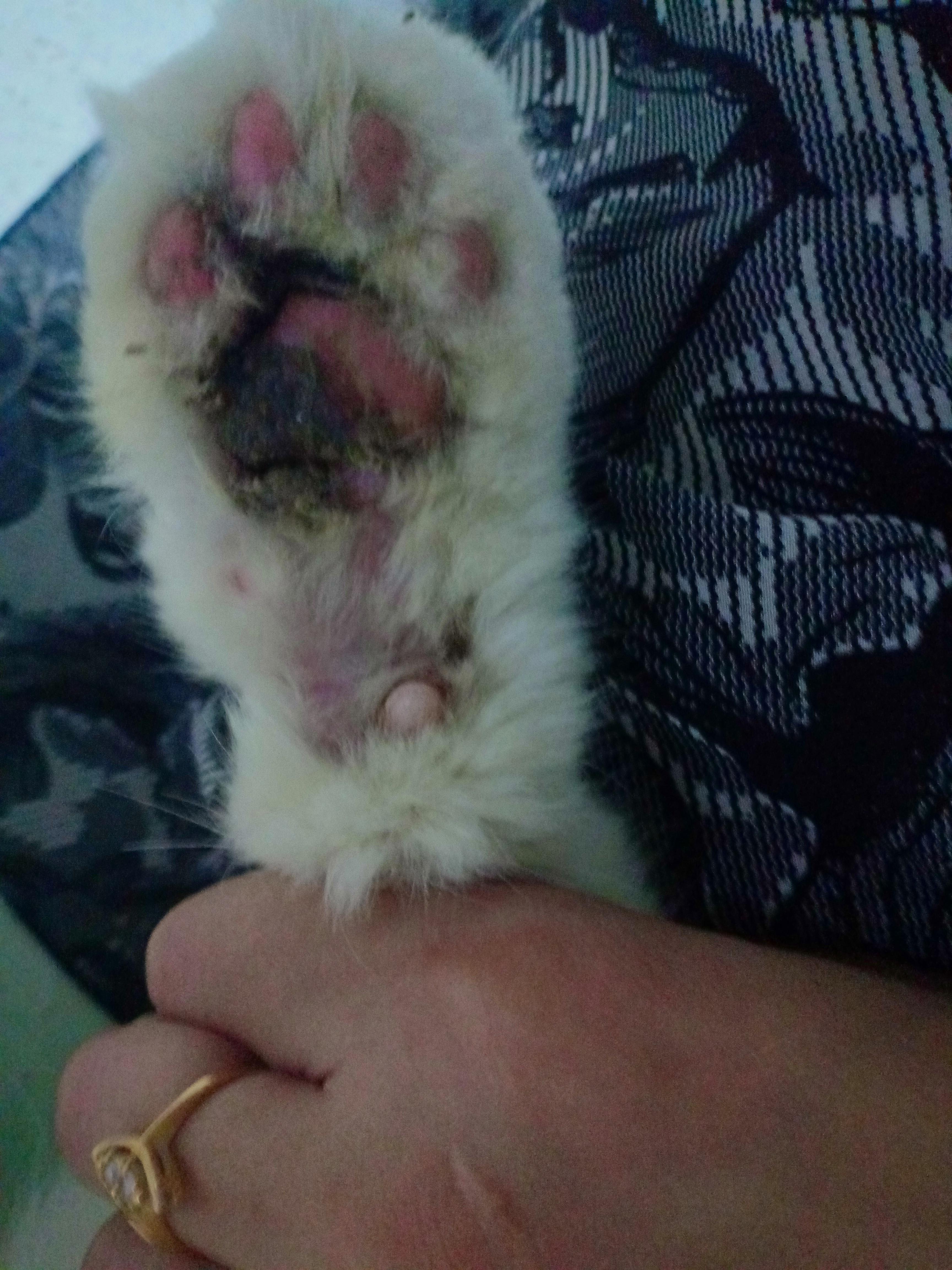 Question details sensitive content