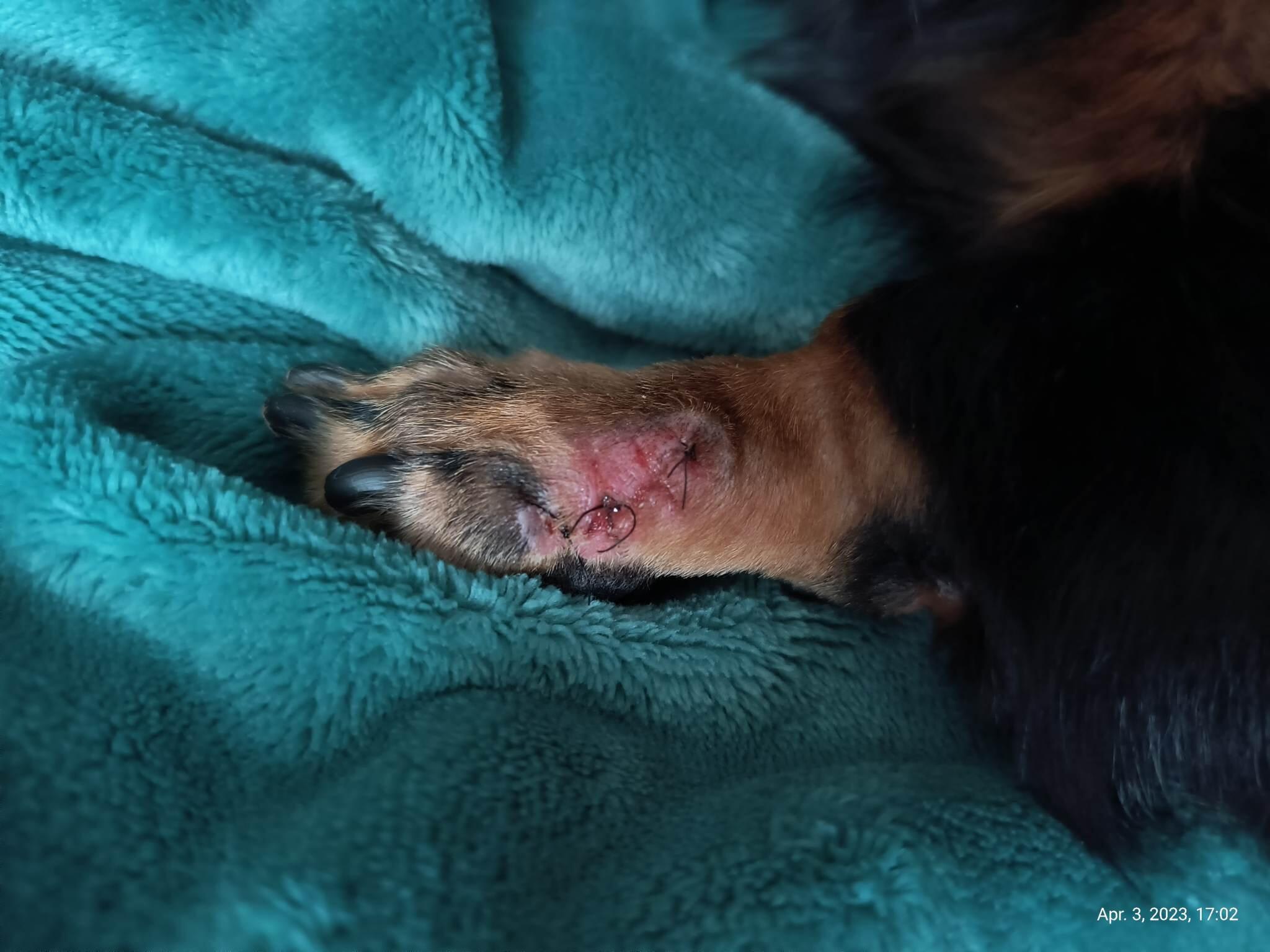 Question details sensitive content