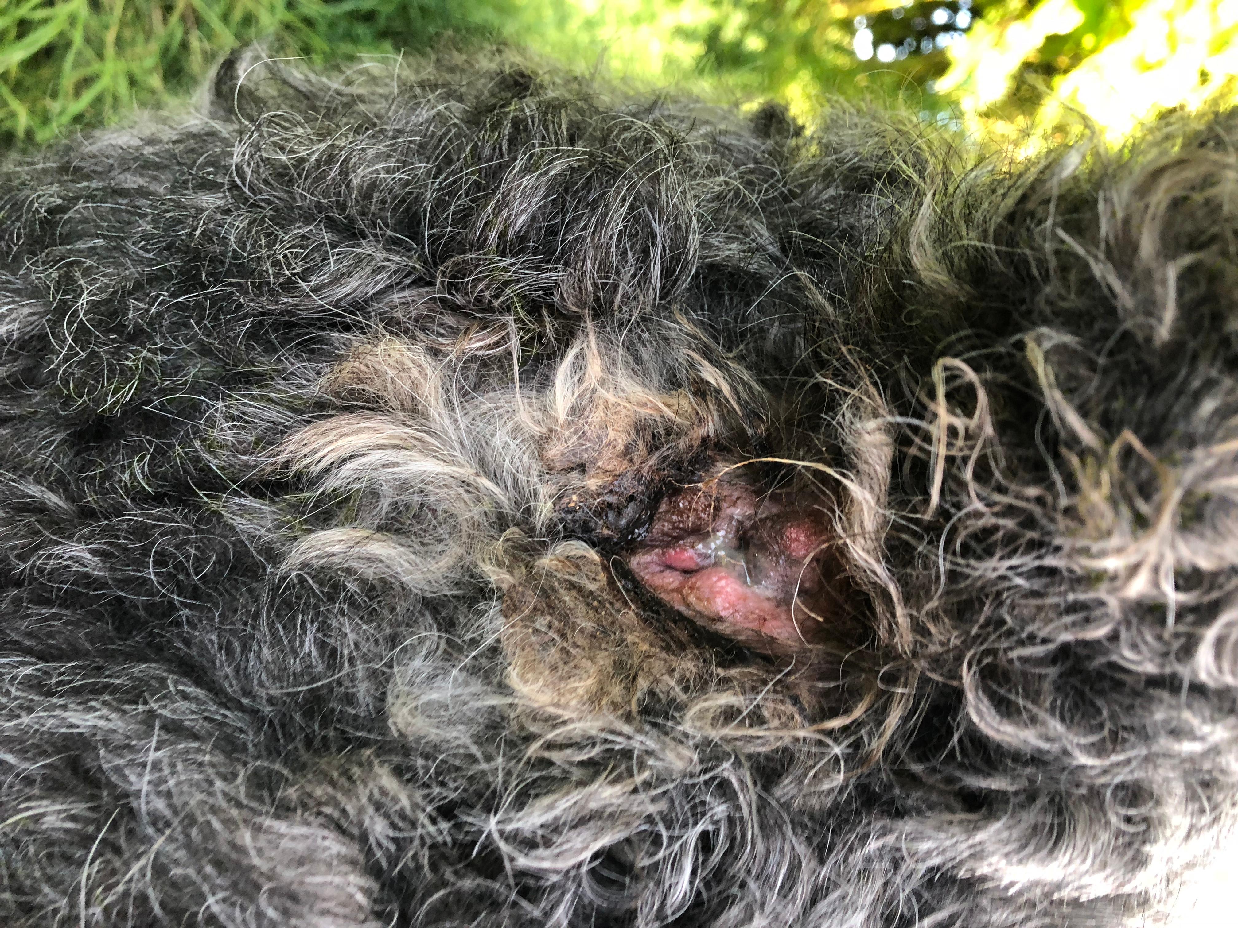 Question details sensitive content