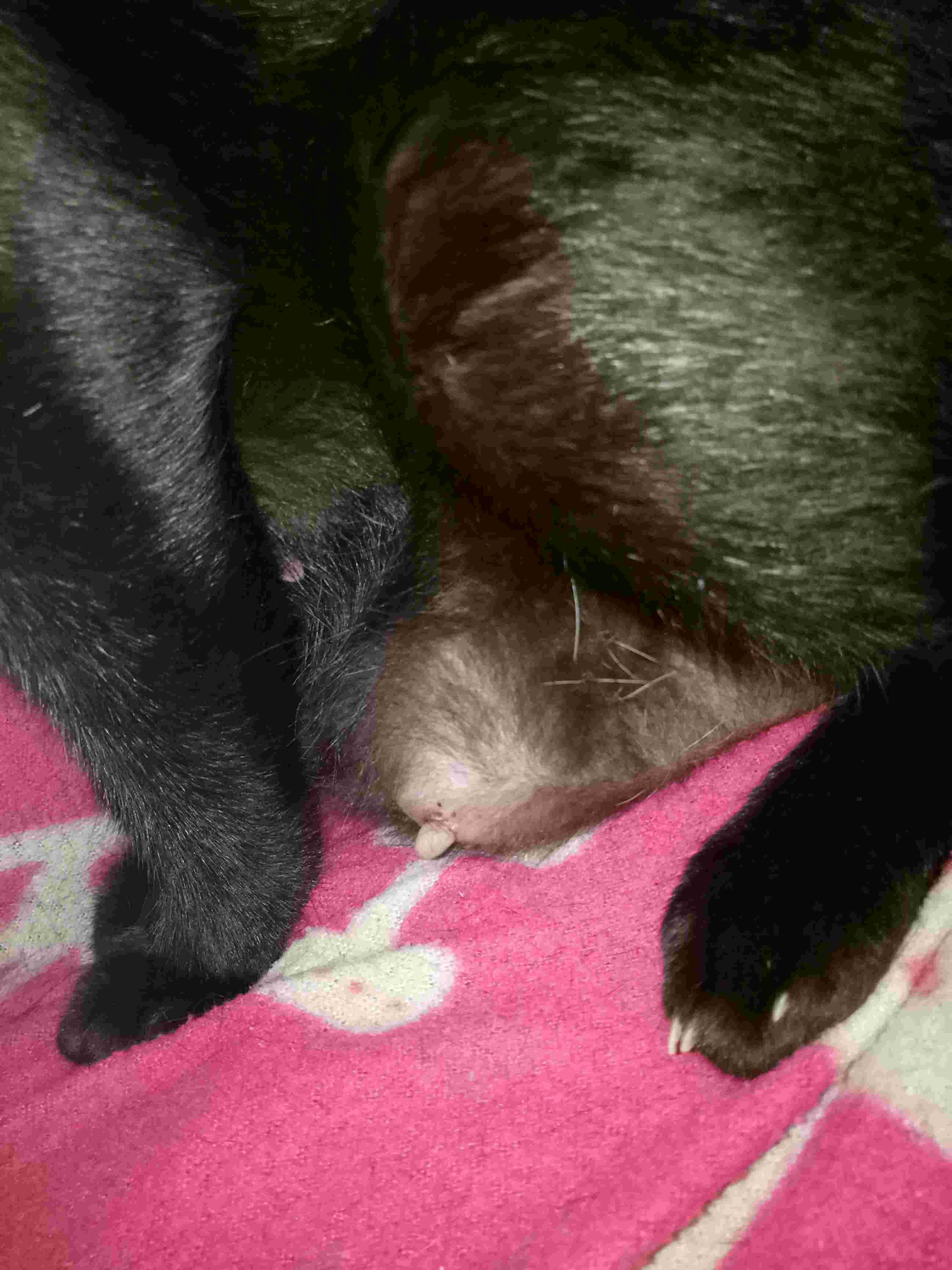 Question details sensitive content