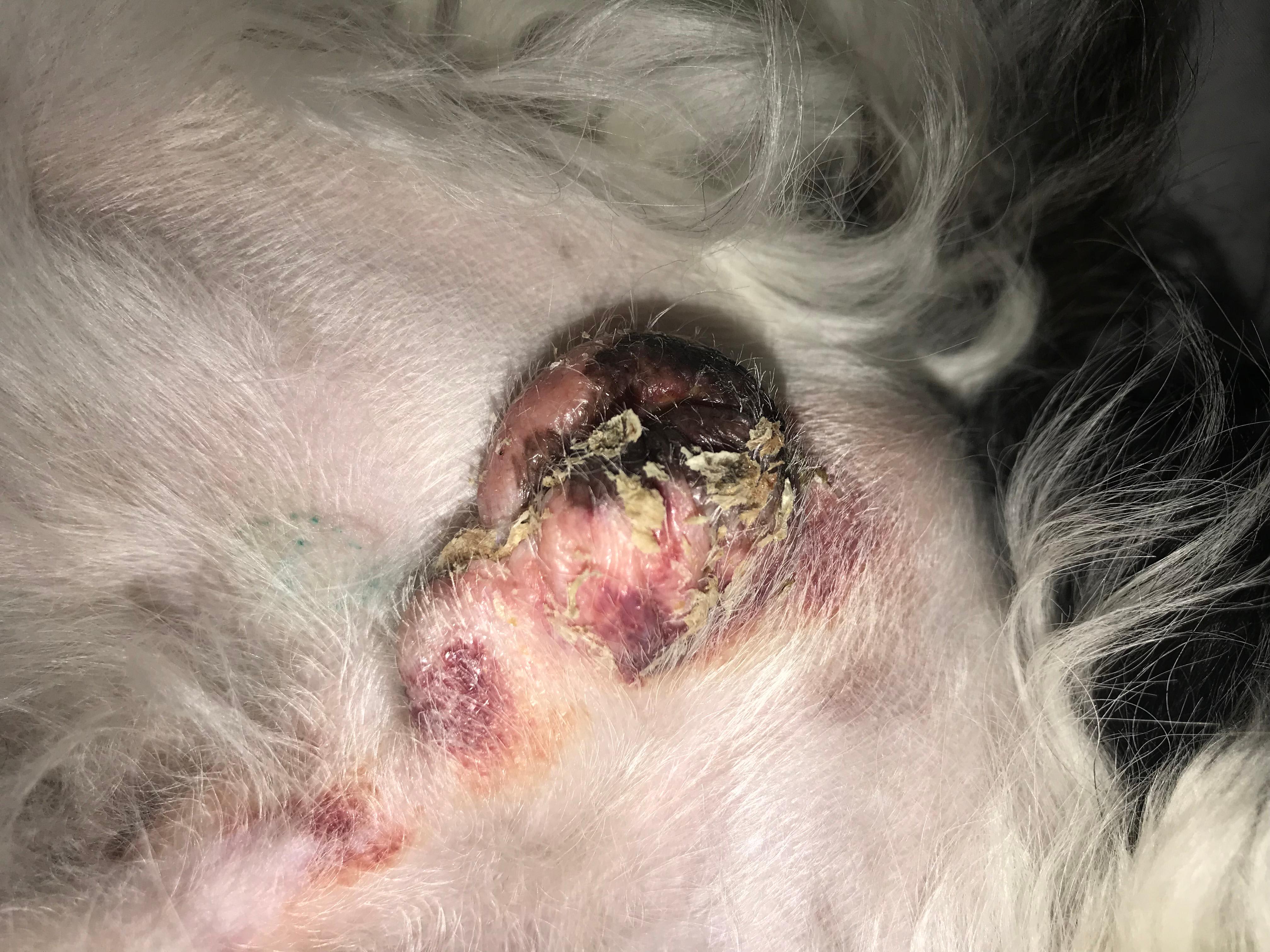 Question details sensitive content