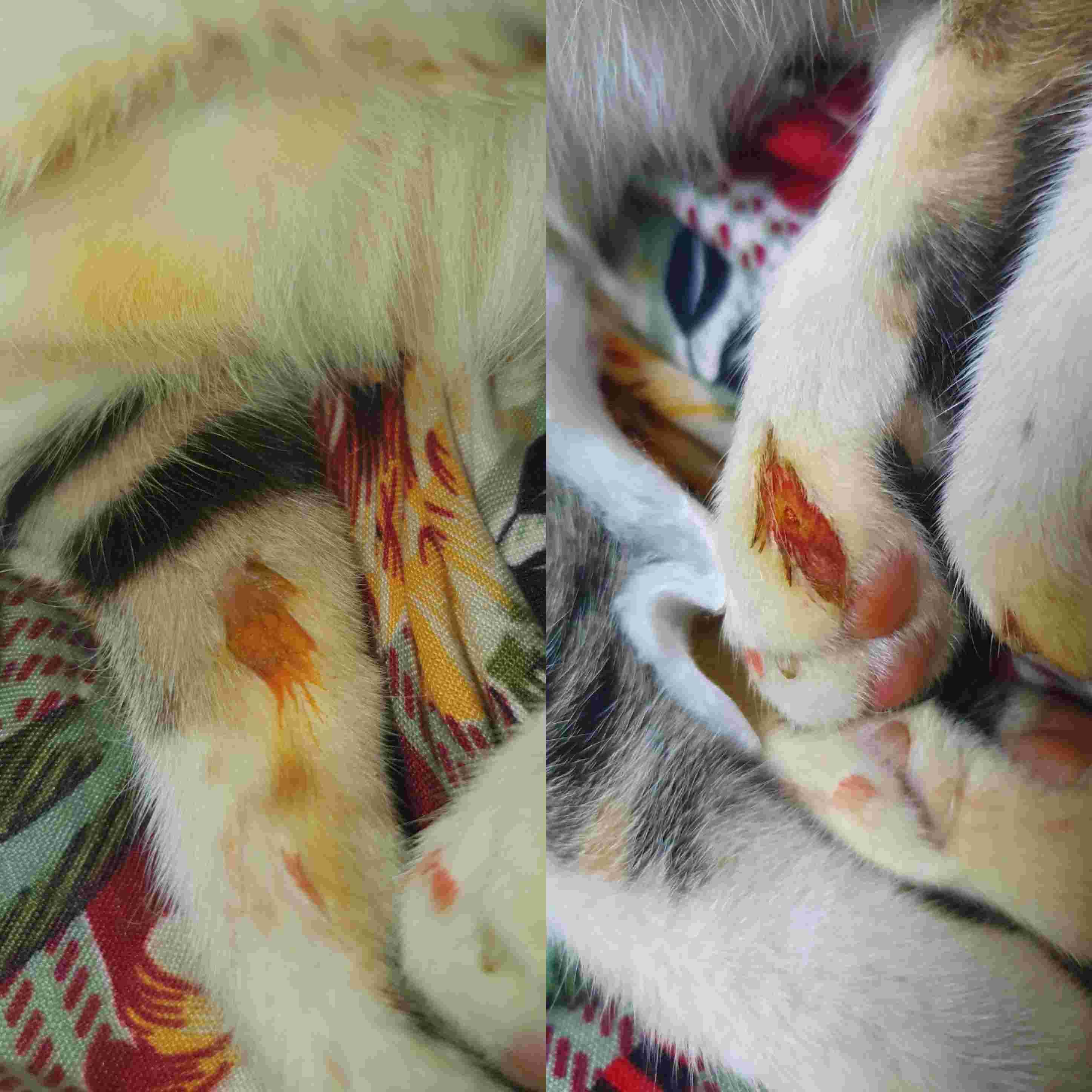 Question details sensitive content