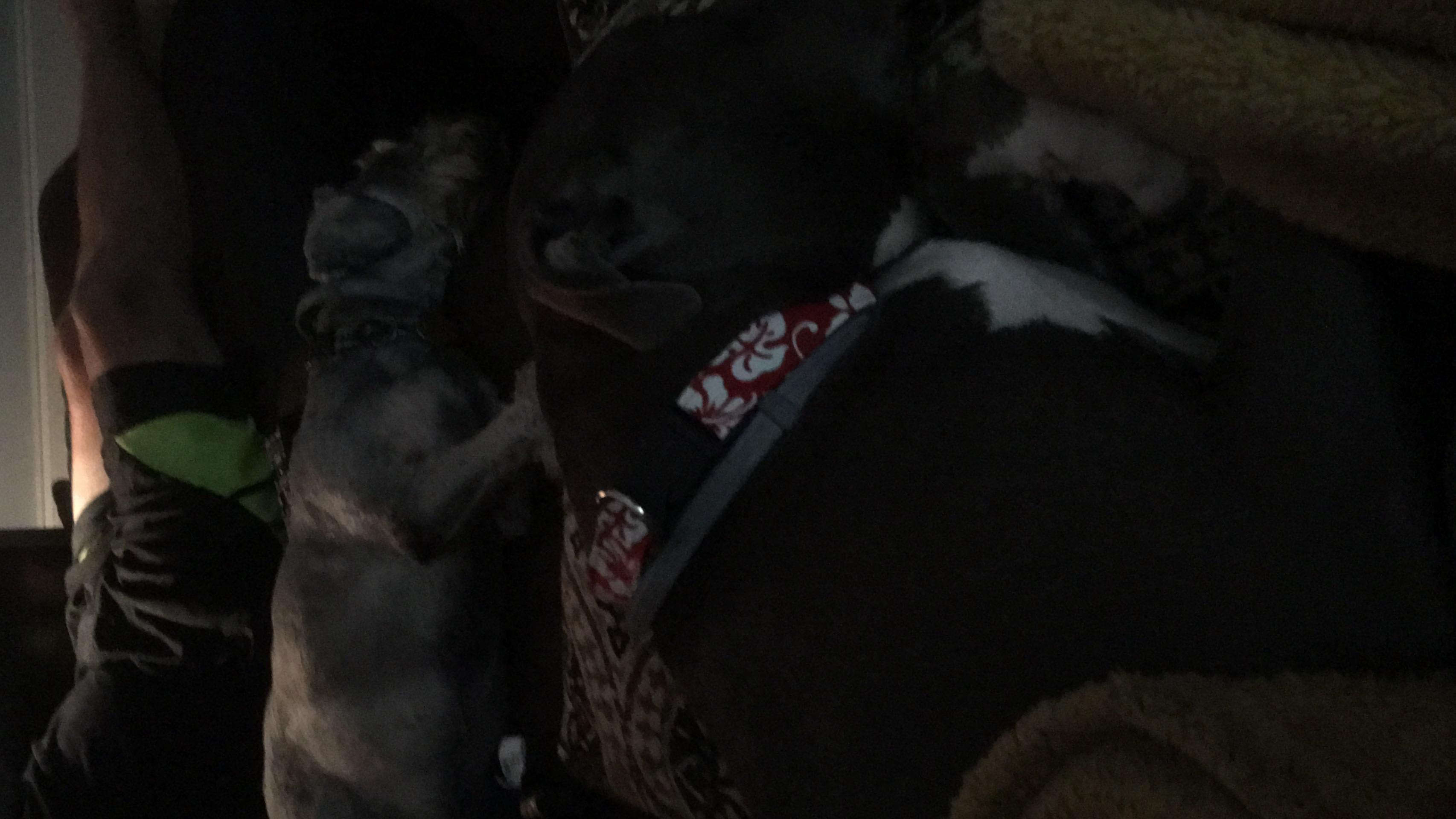 Question details sensitive content