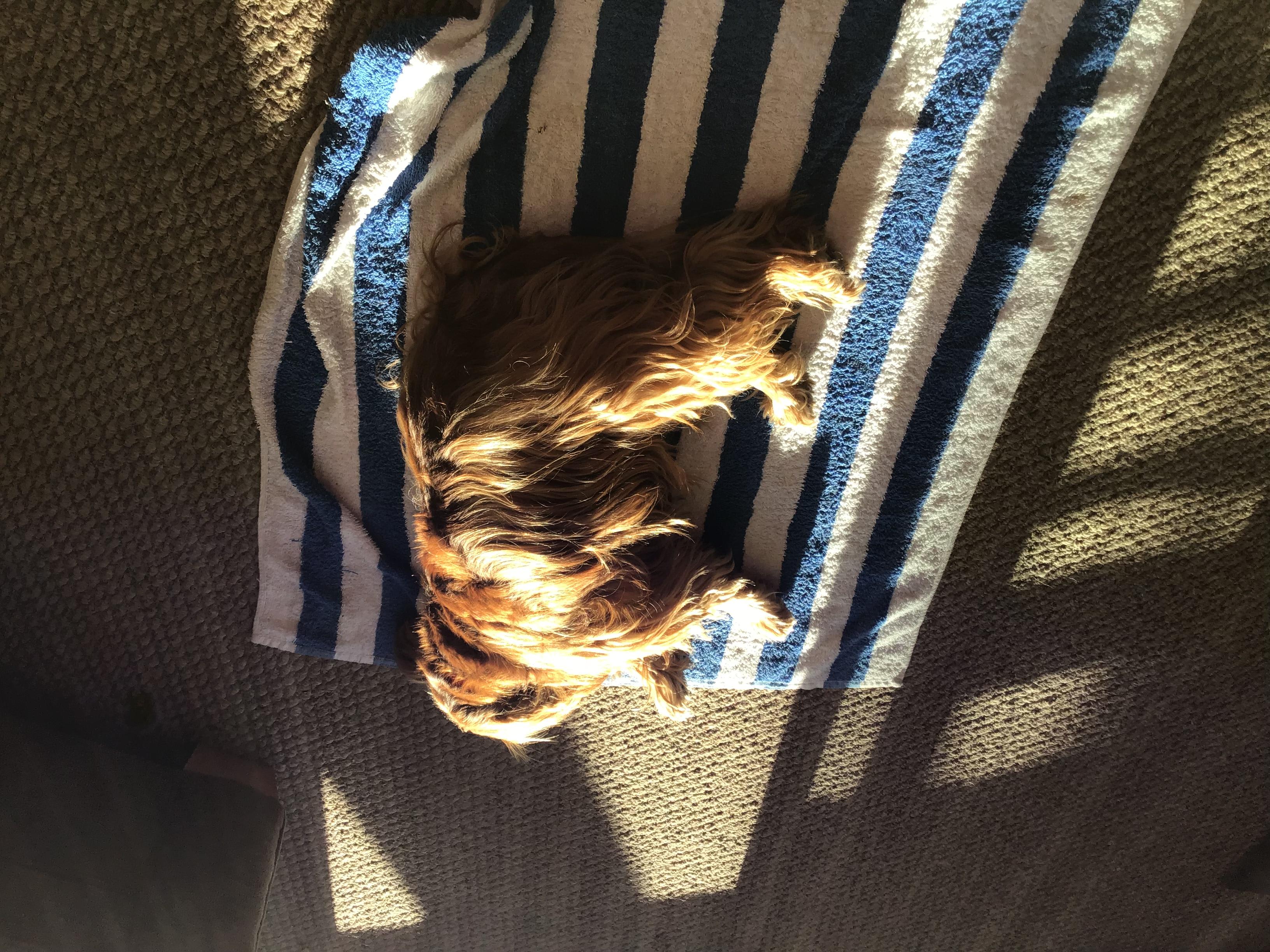 Question details sensitive content