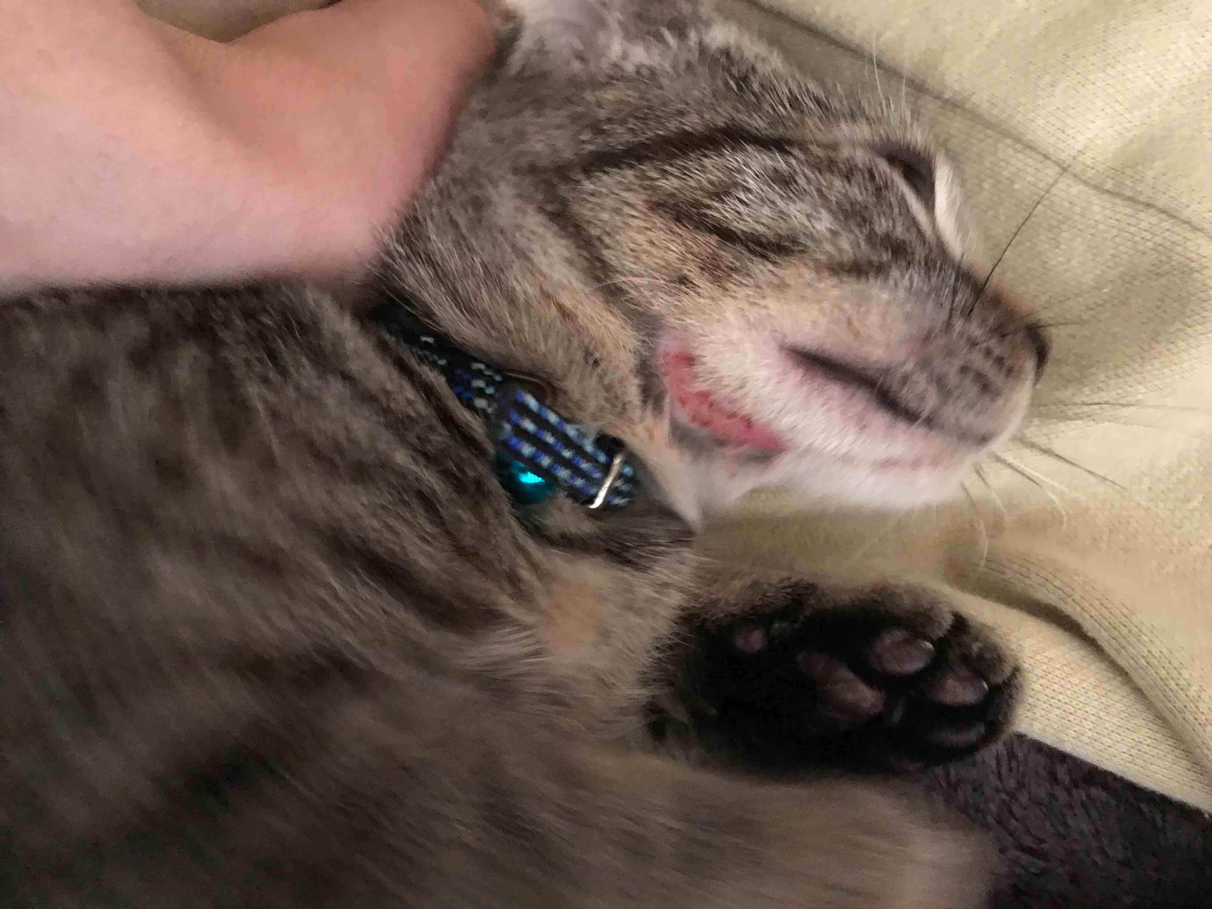 Question details sensitive content