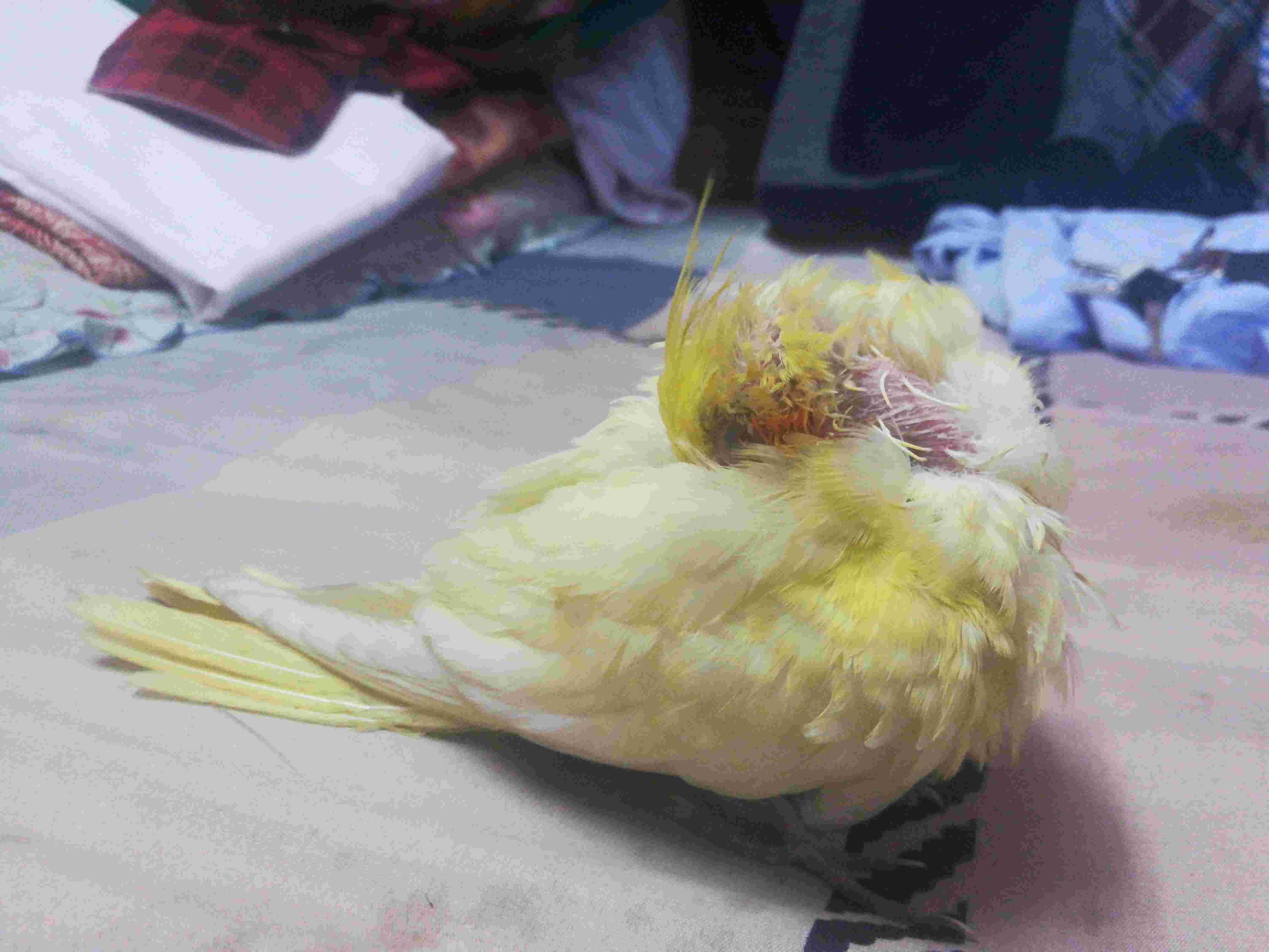 Question details sensitive content