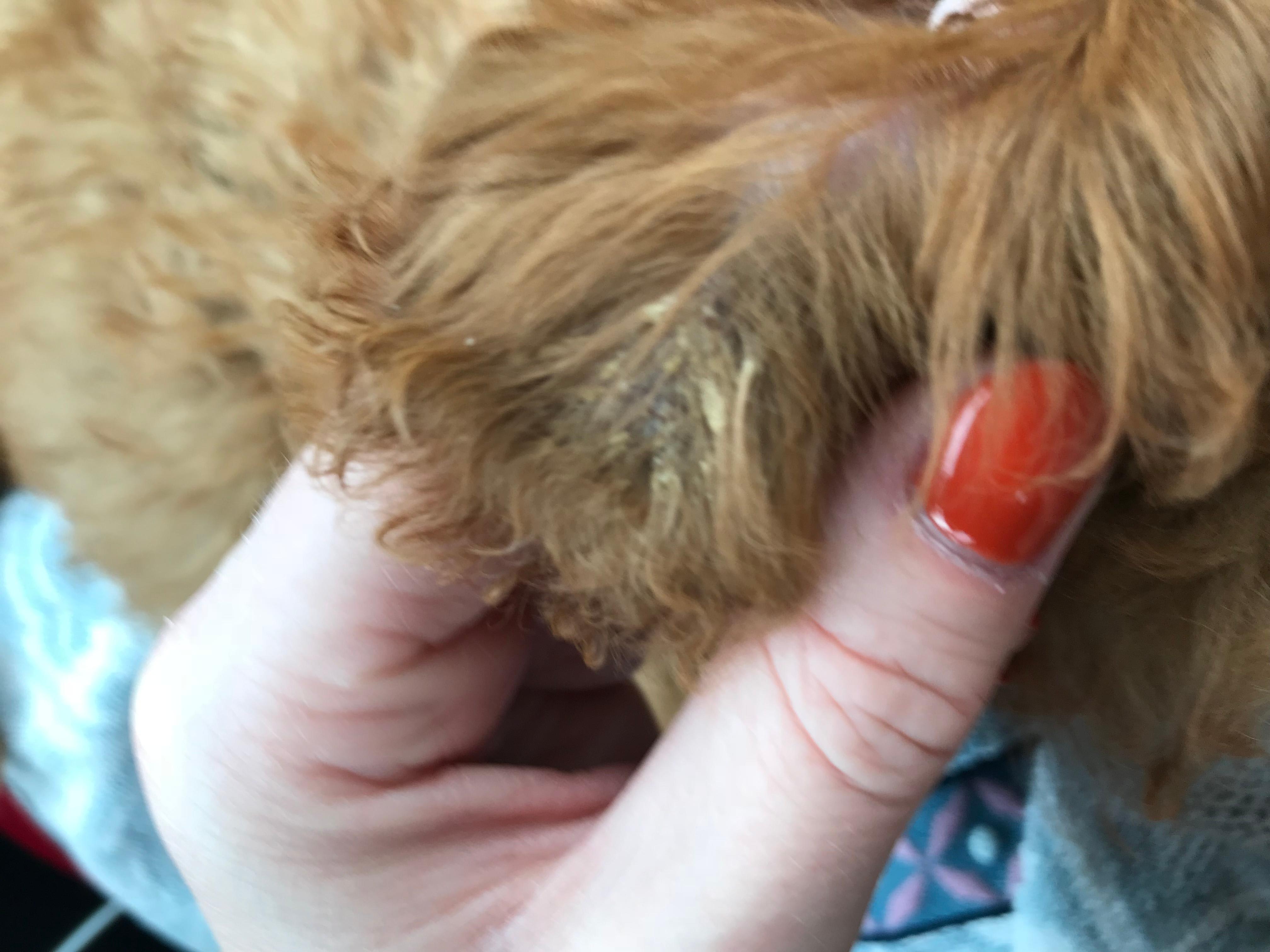 Question details sensitive content