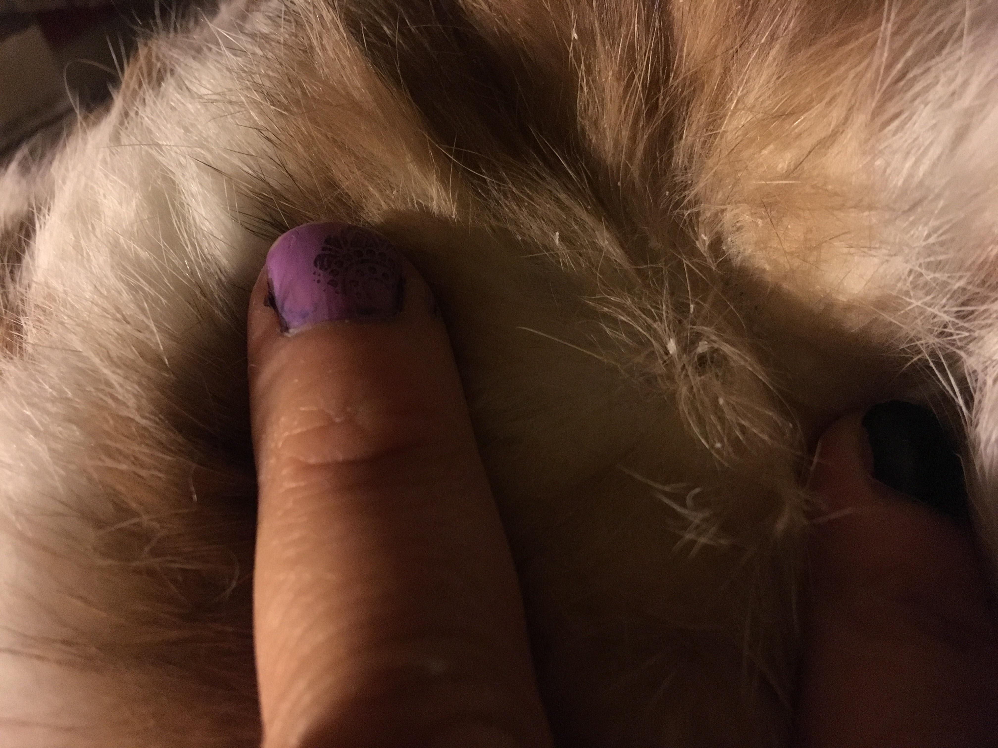 Question details sensitive content