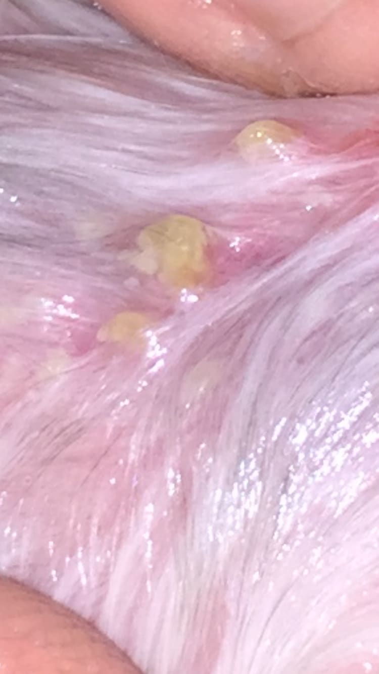 Question details sensitive content