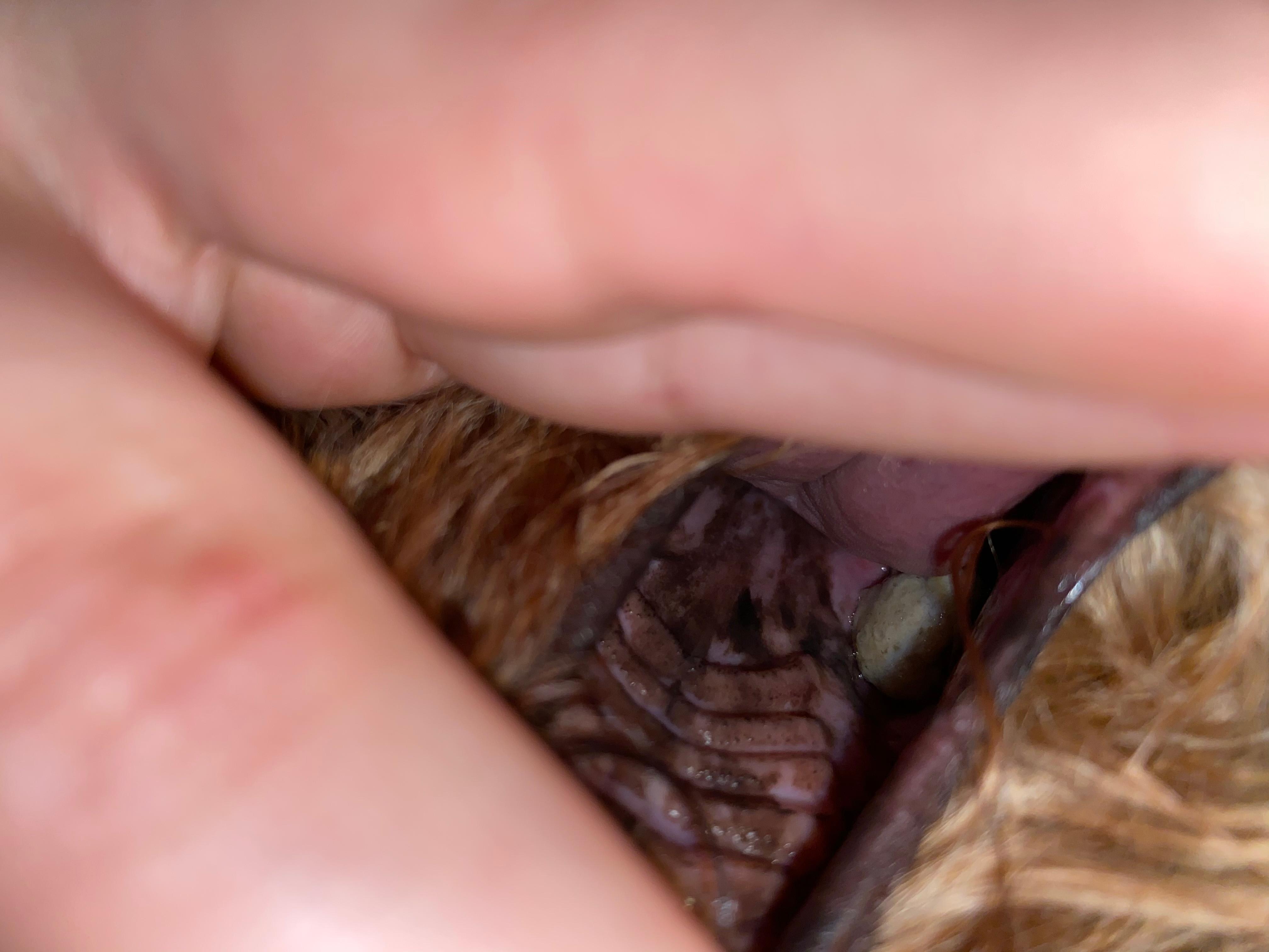 Question details sensitive content