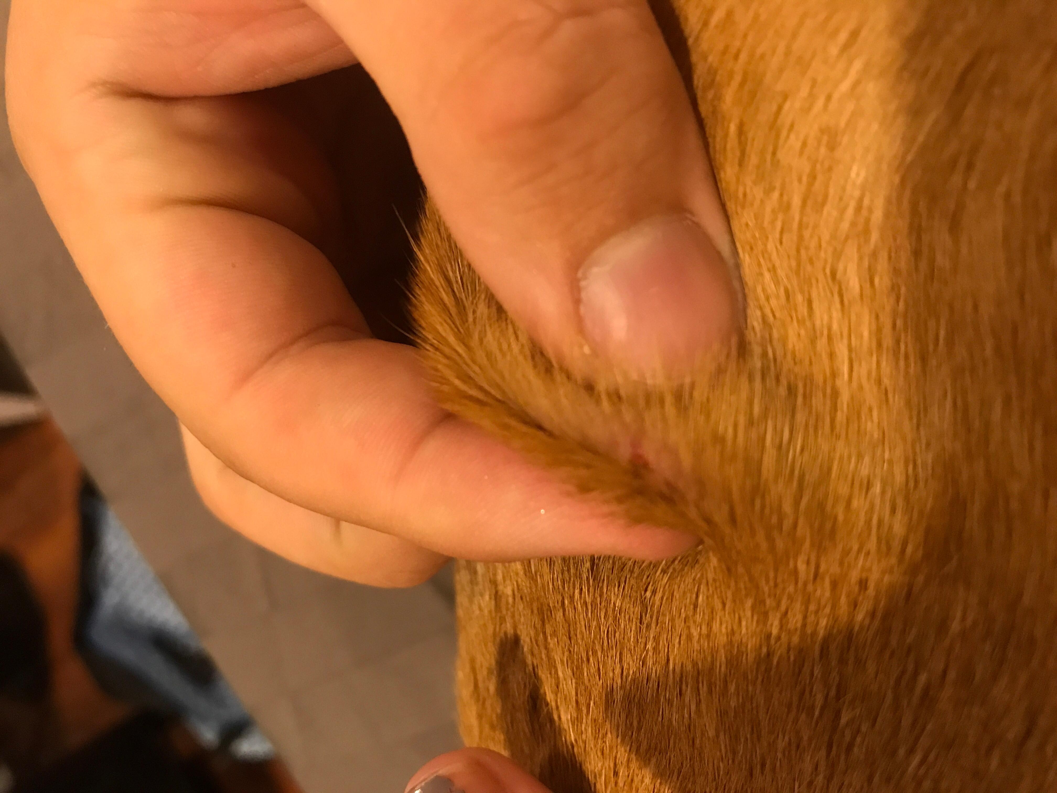 Question details sensitive content