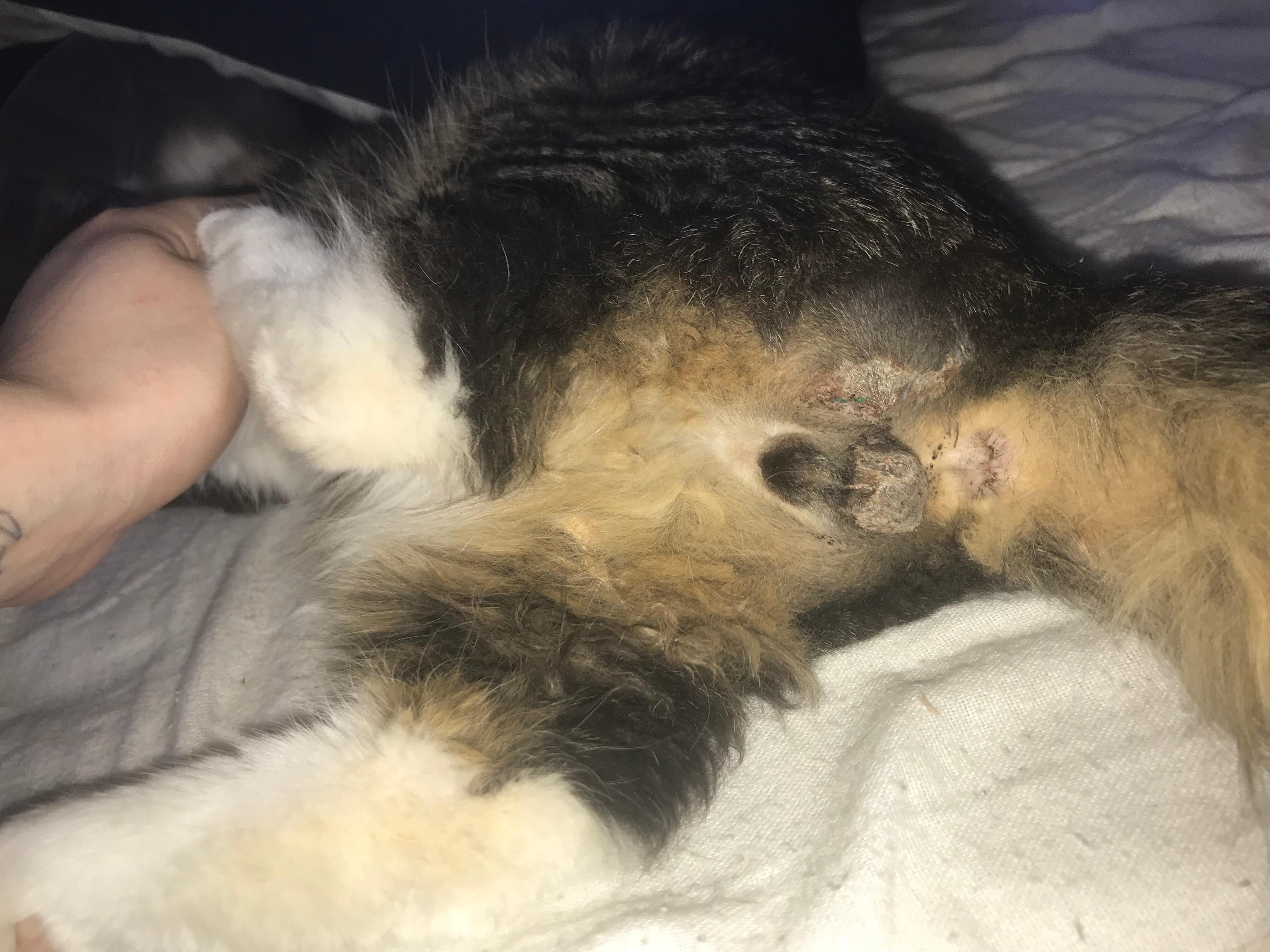 Question details sensitive content