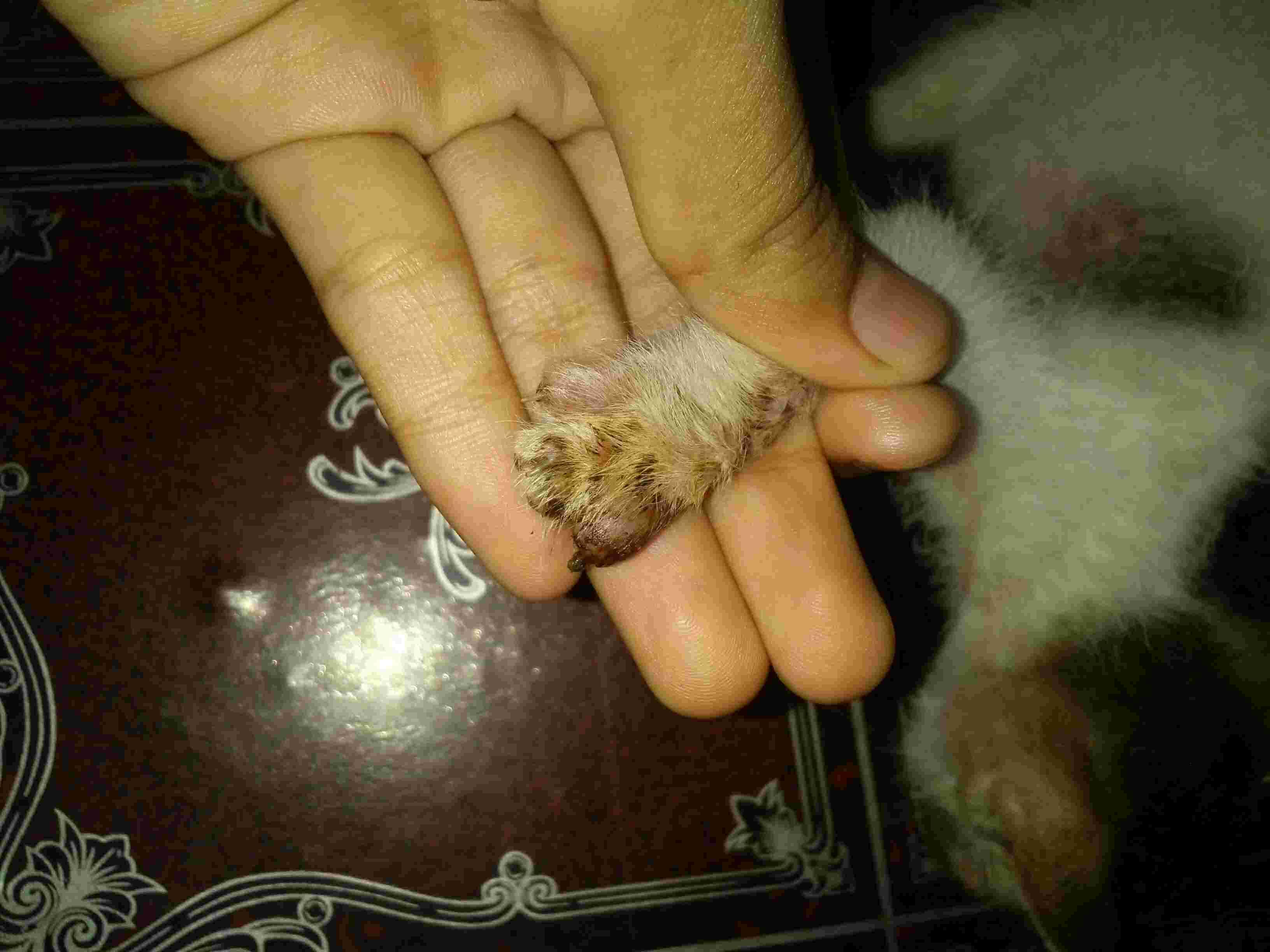 Question details sensitive content