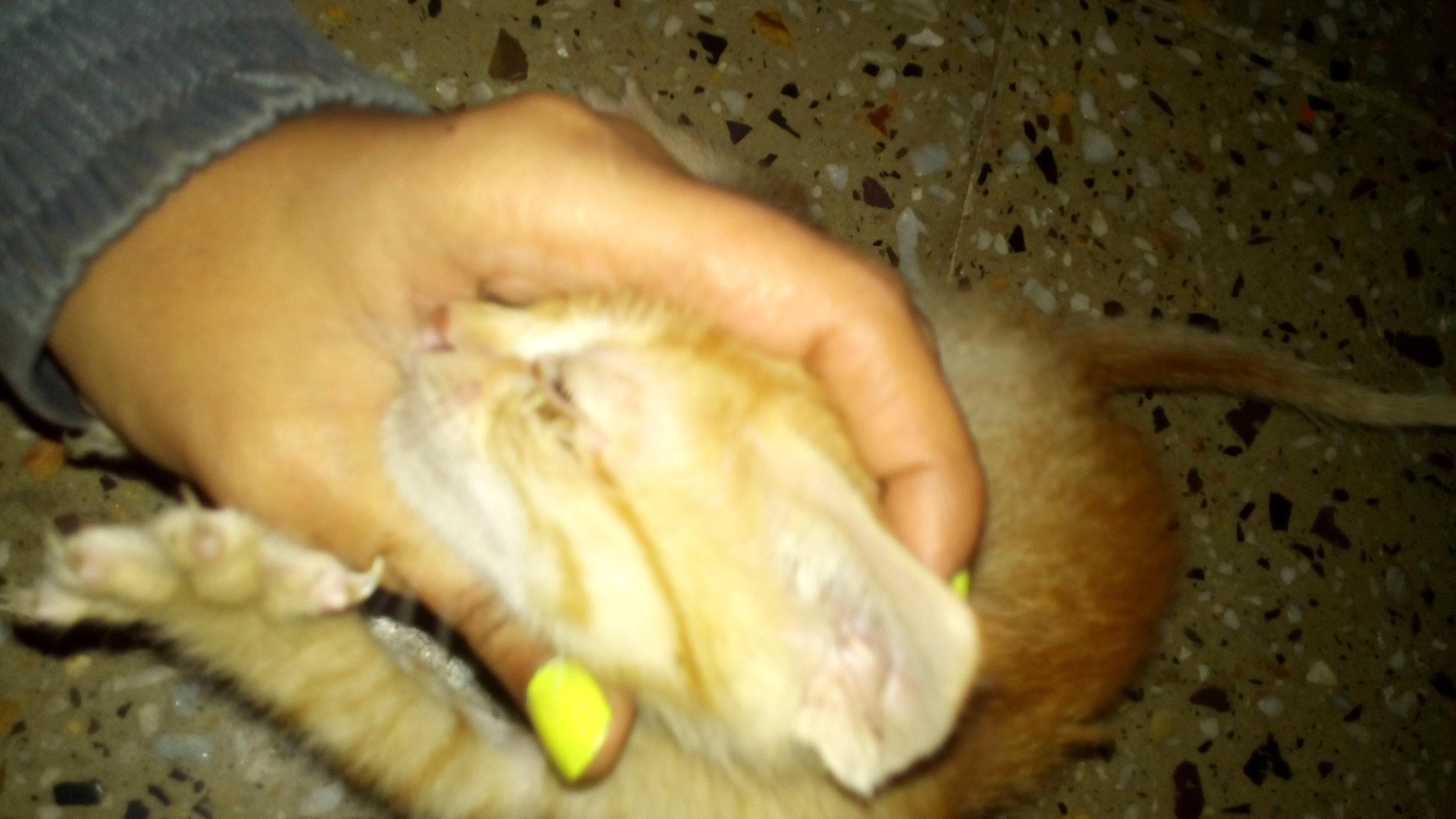 Question details sensitive content