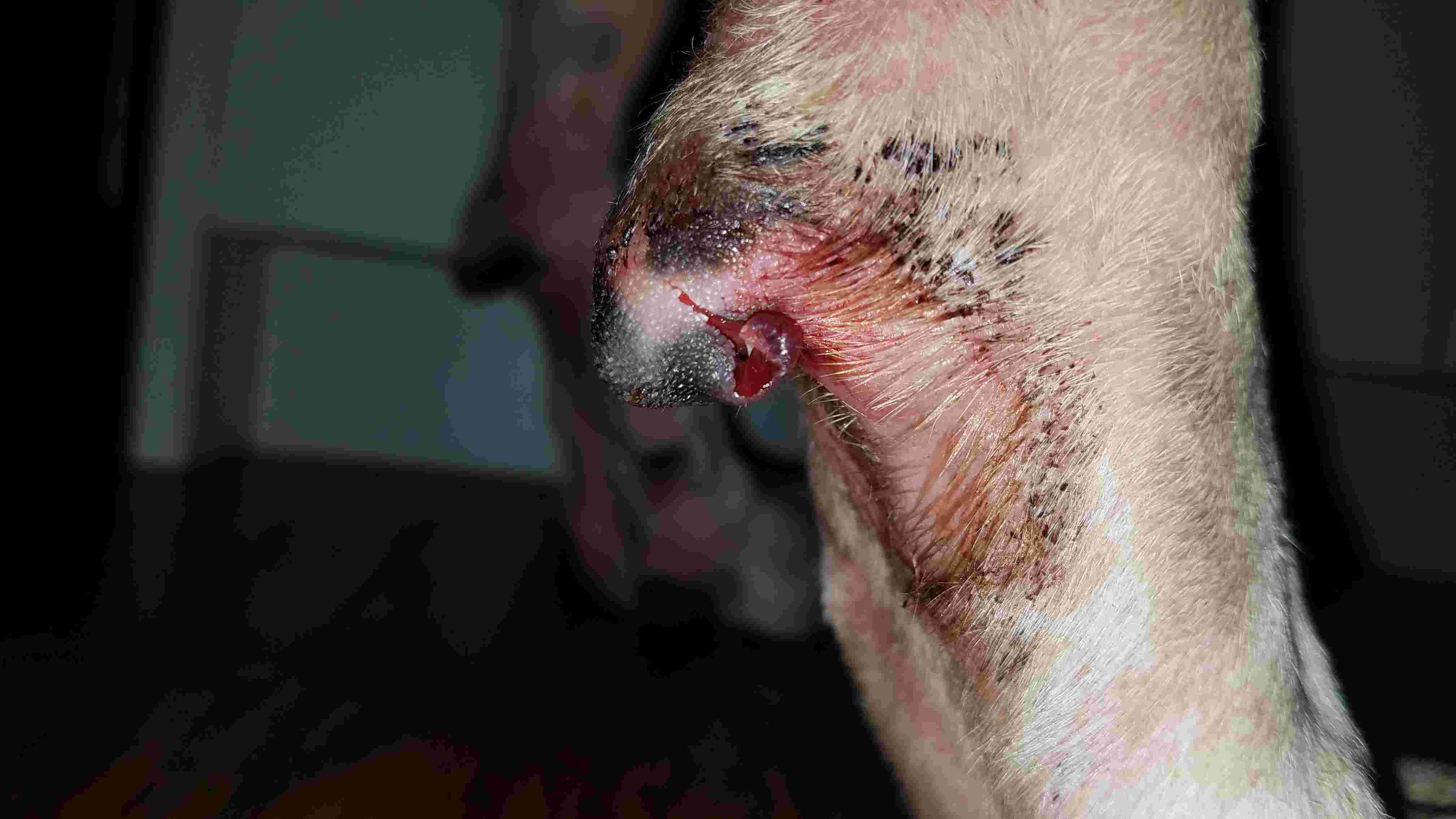 Question details sensitive content