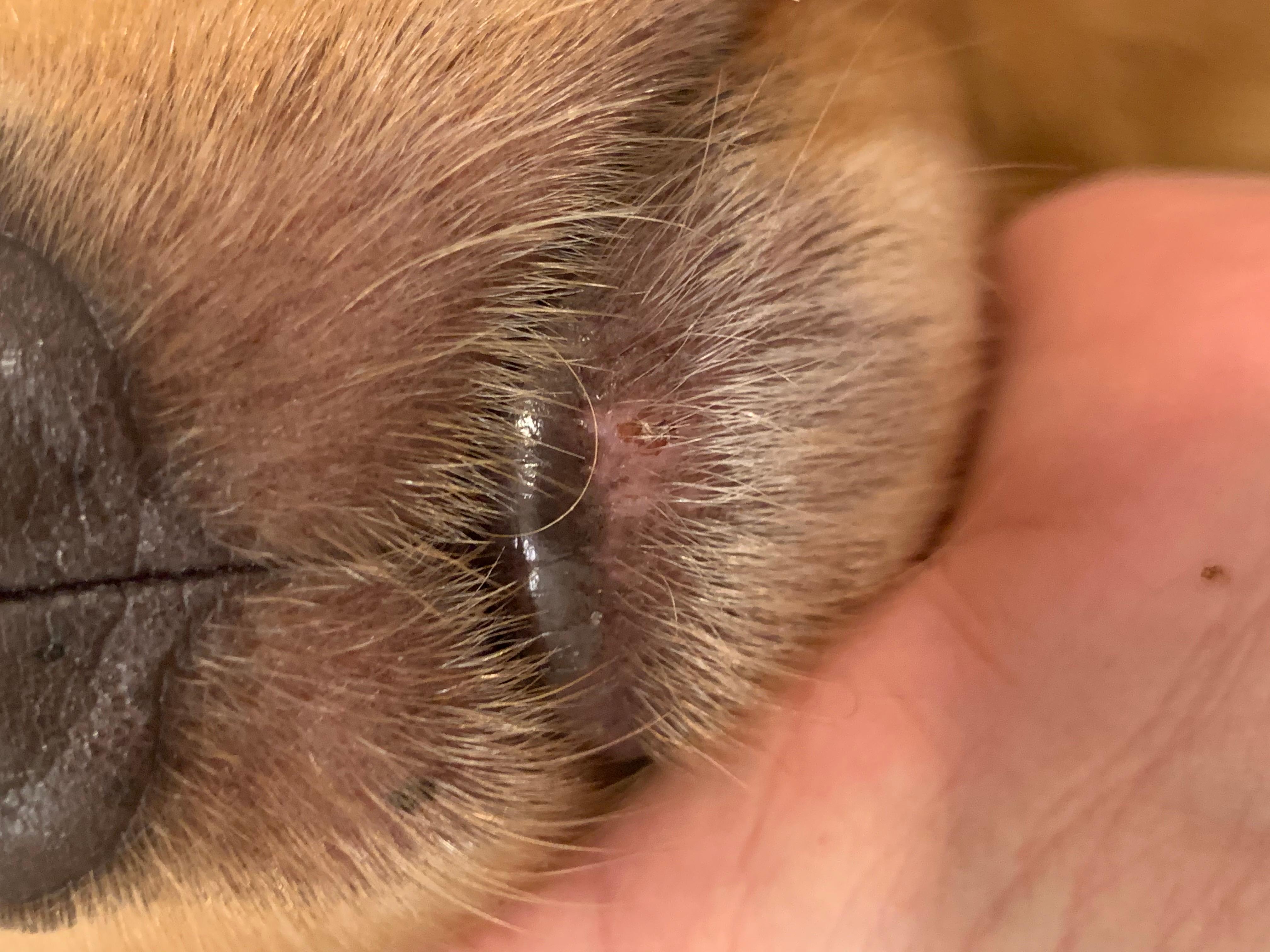 Question details sensitive content