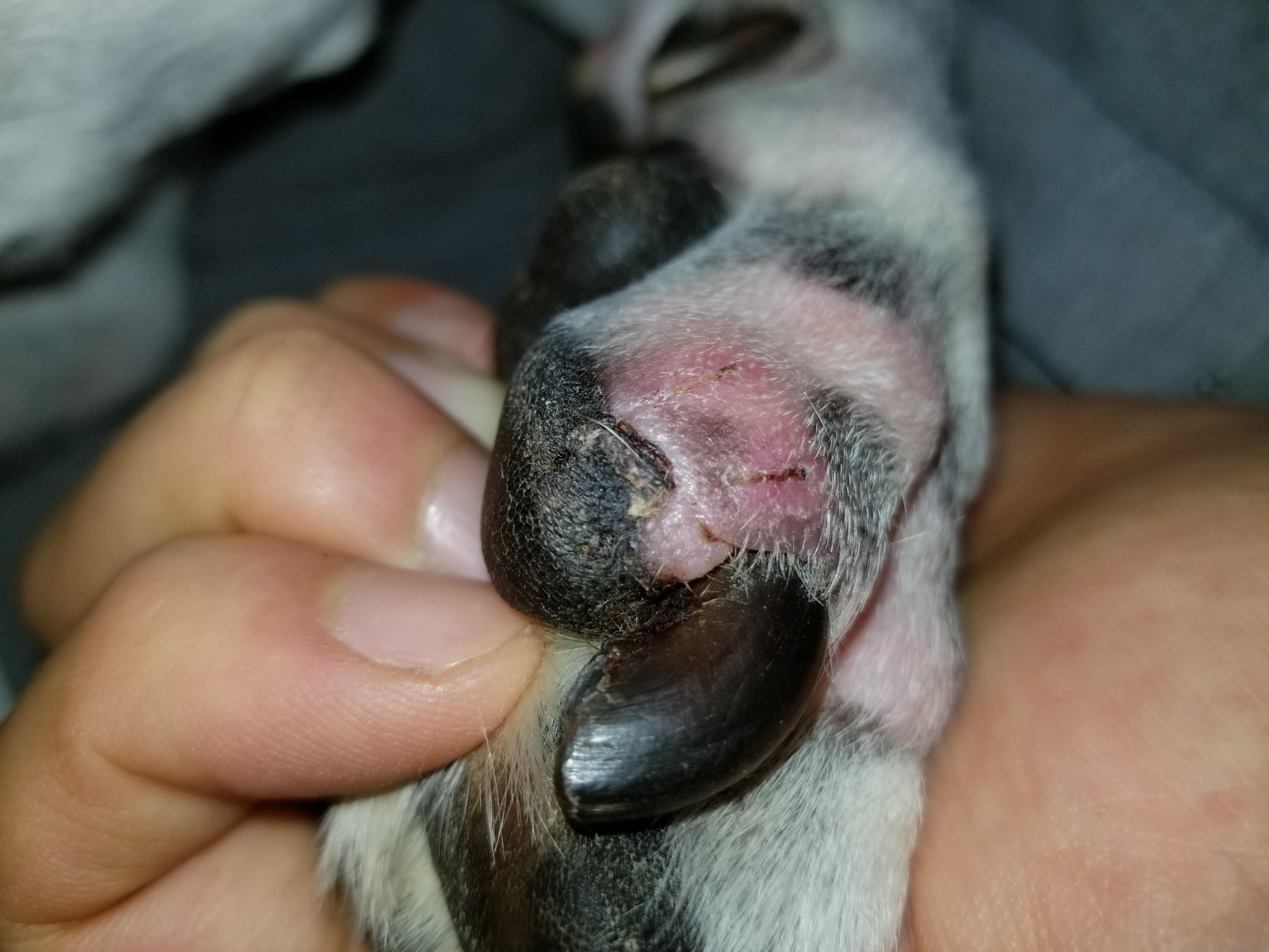 Question details sensitive content