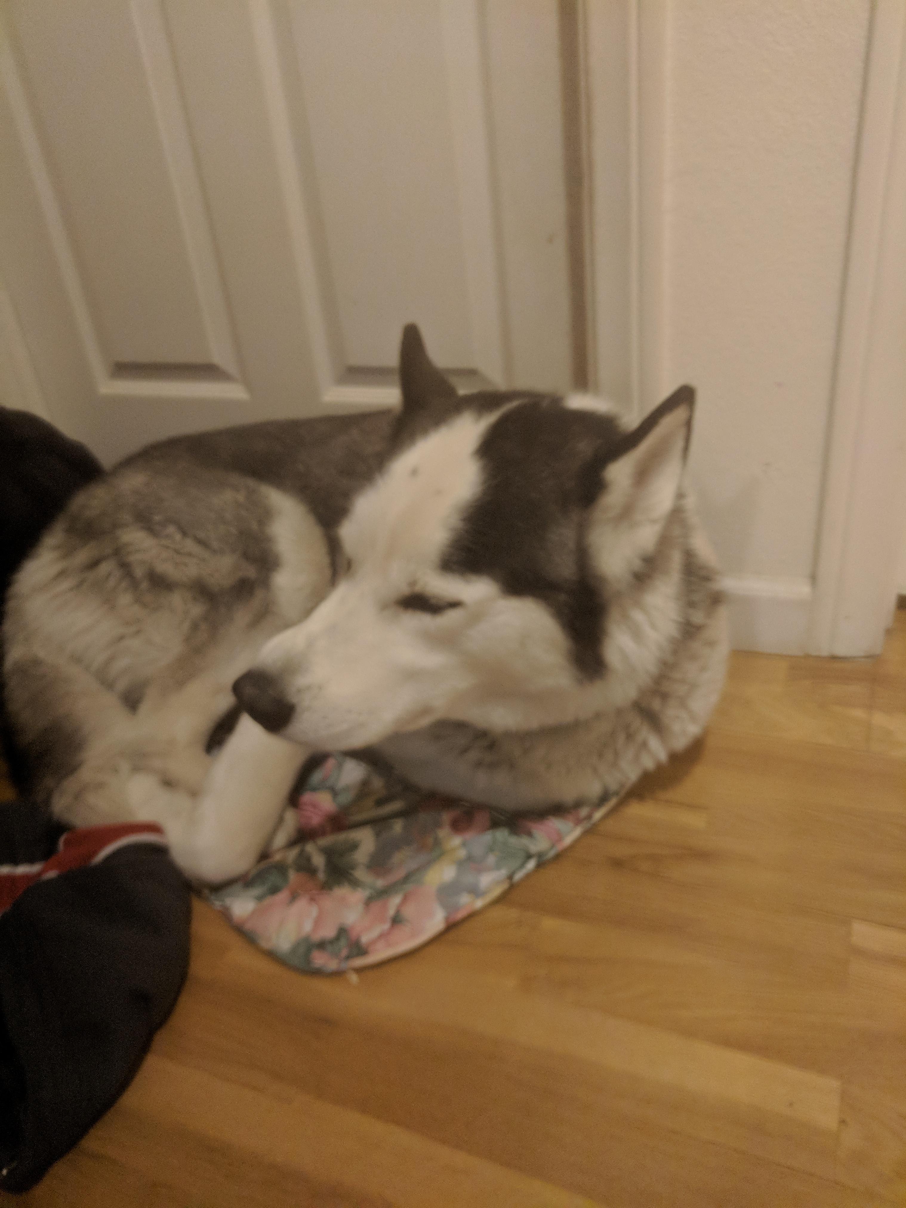 Question details sensitive content