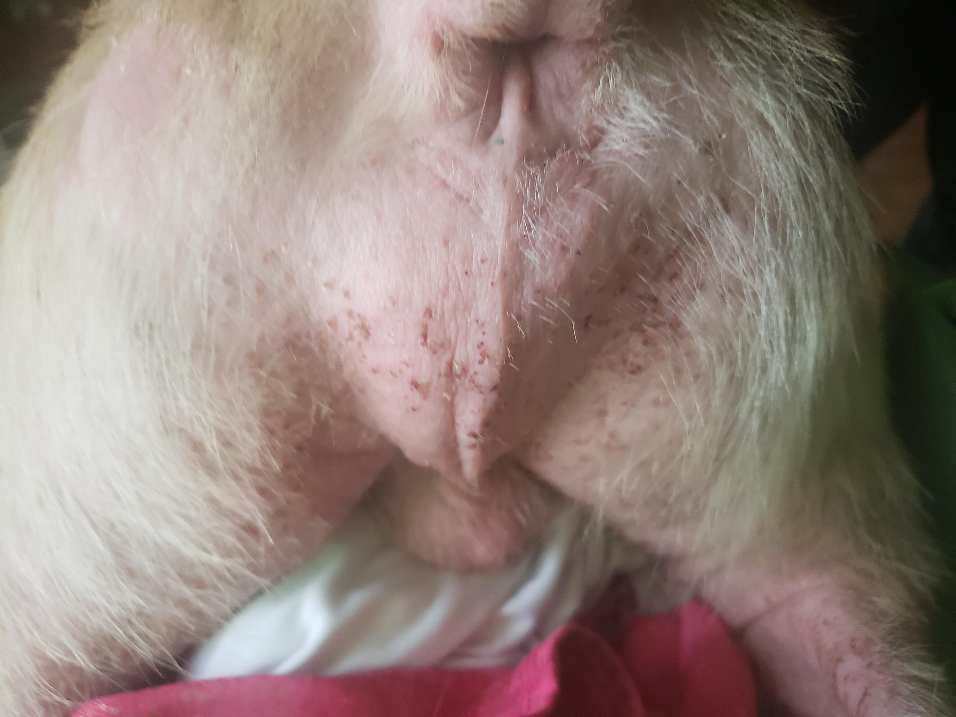 Question details sensitive content