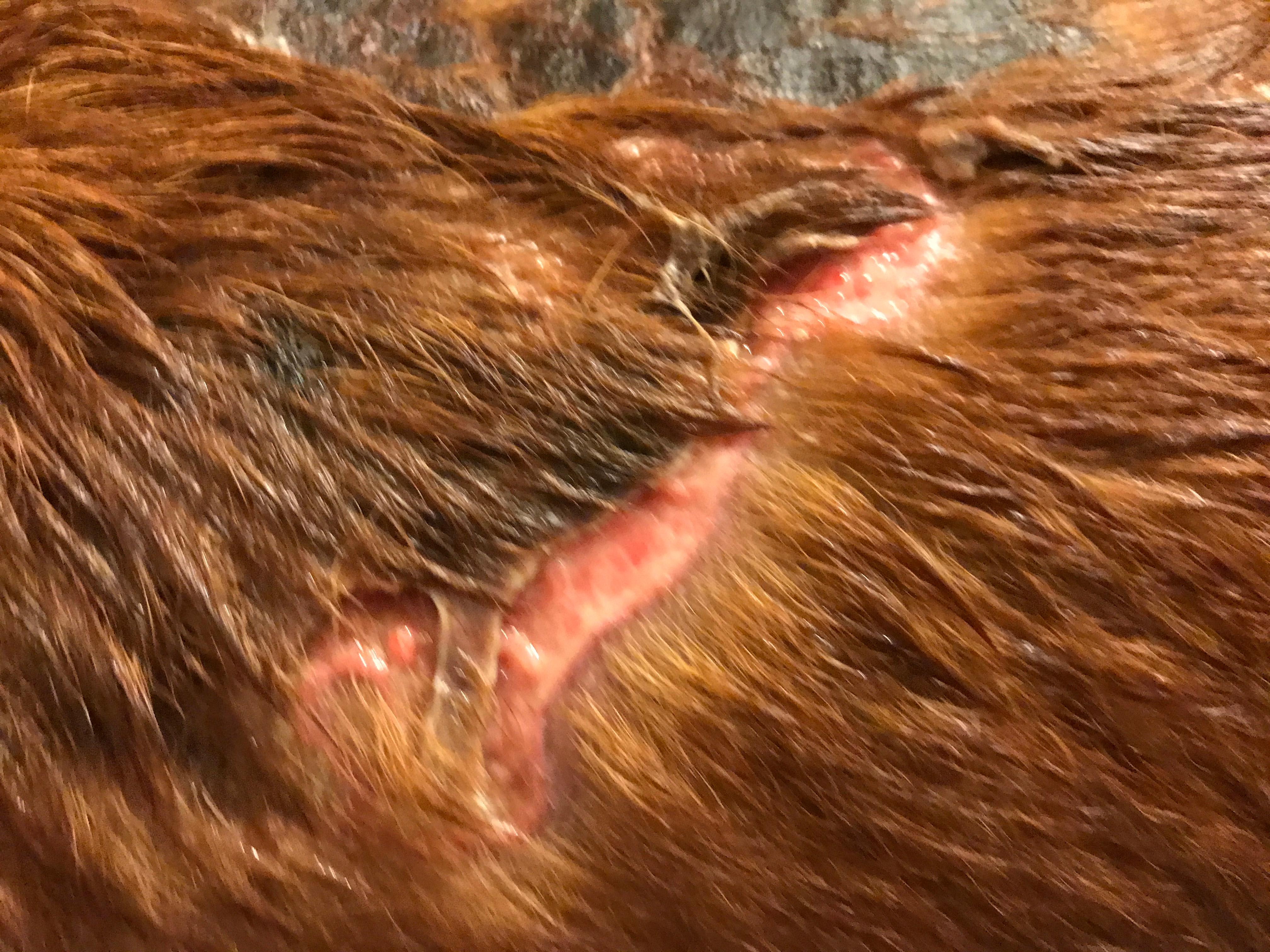 Question details sensitive content