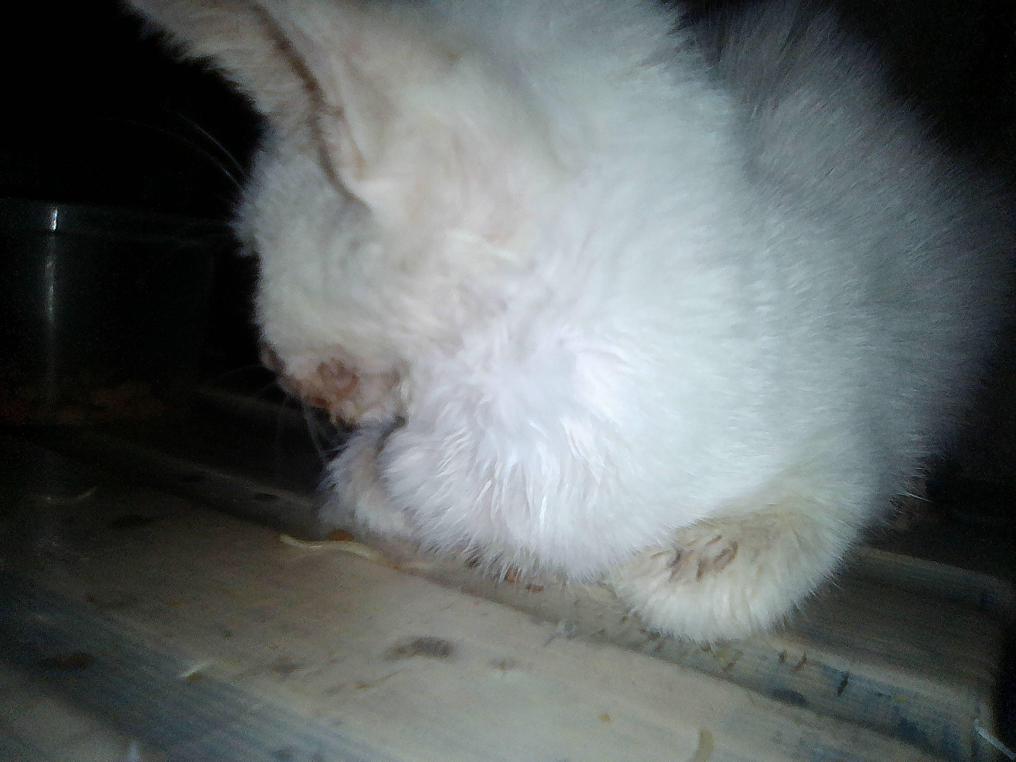 Question details sensitive content