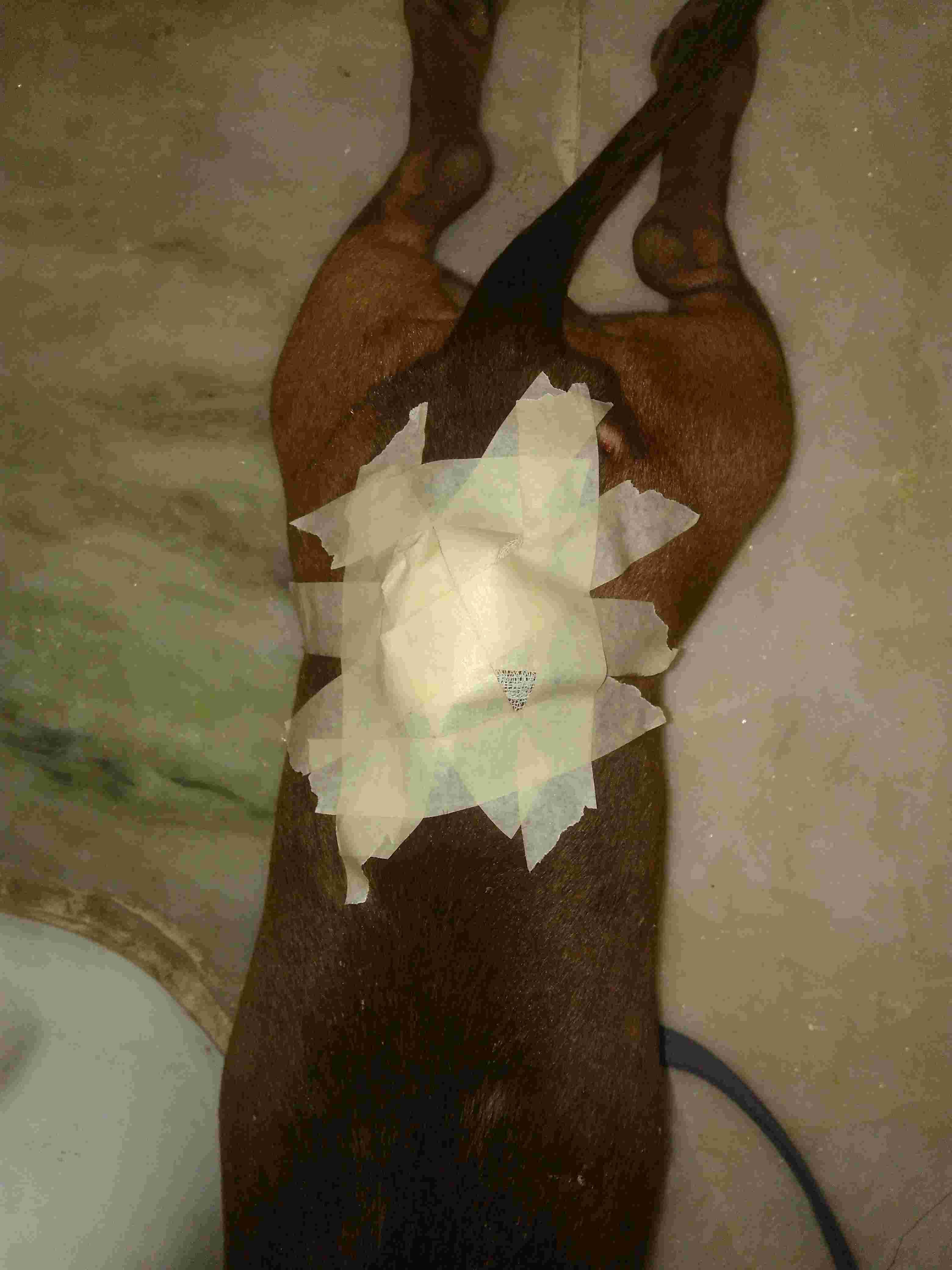 Question details sensitive content