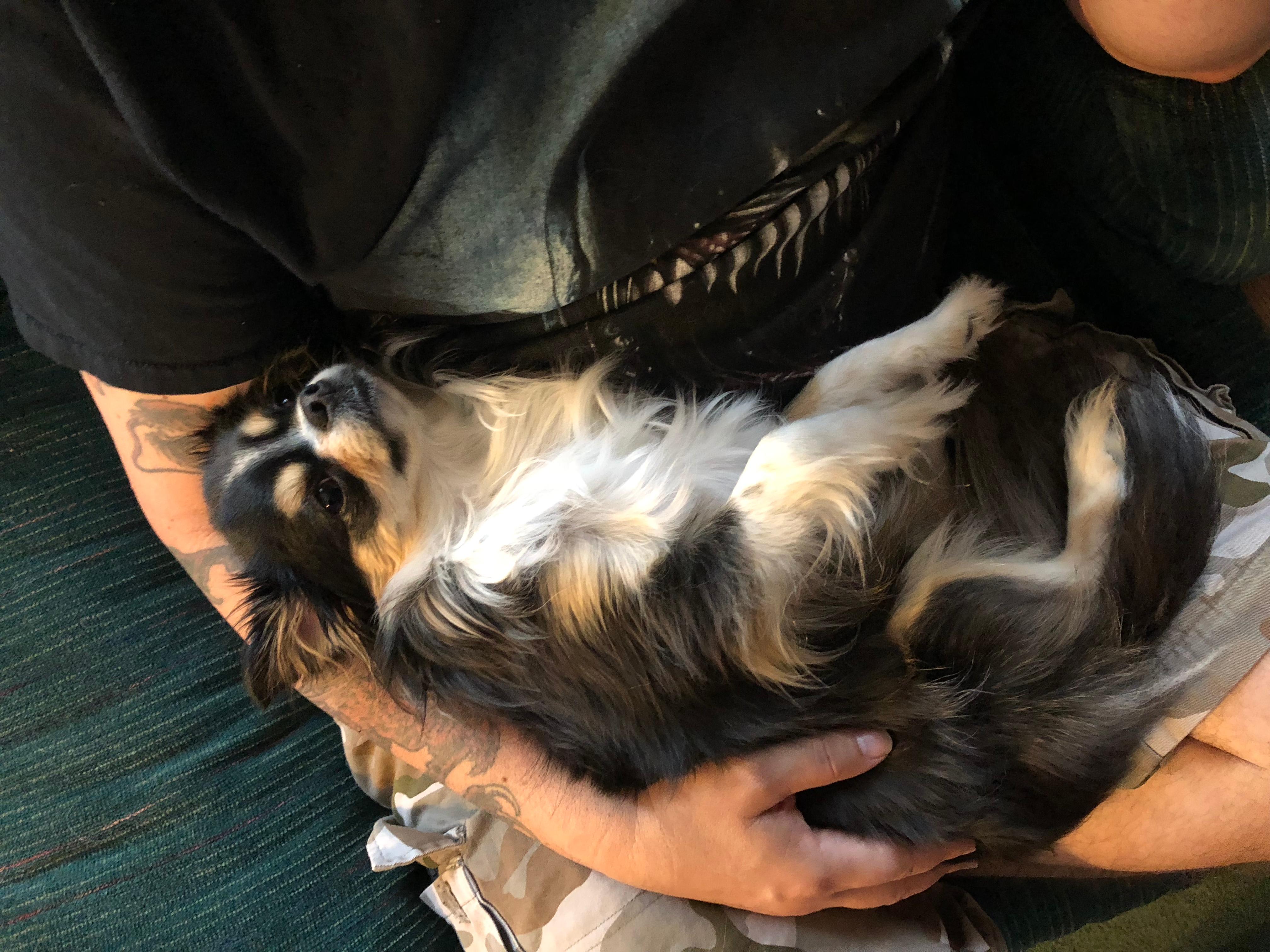 Question details sensitive content