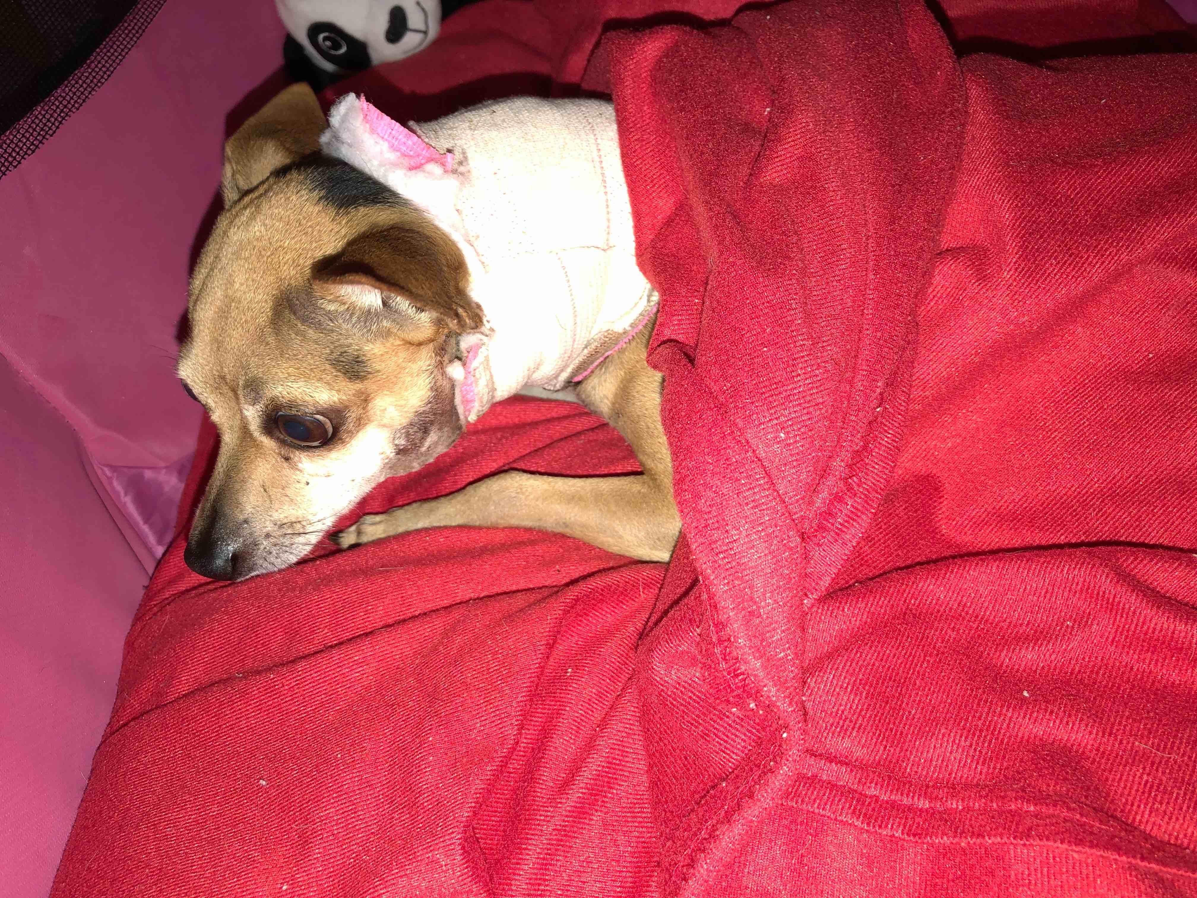 Question details sensitive content