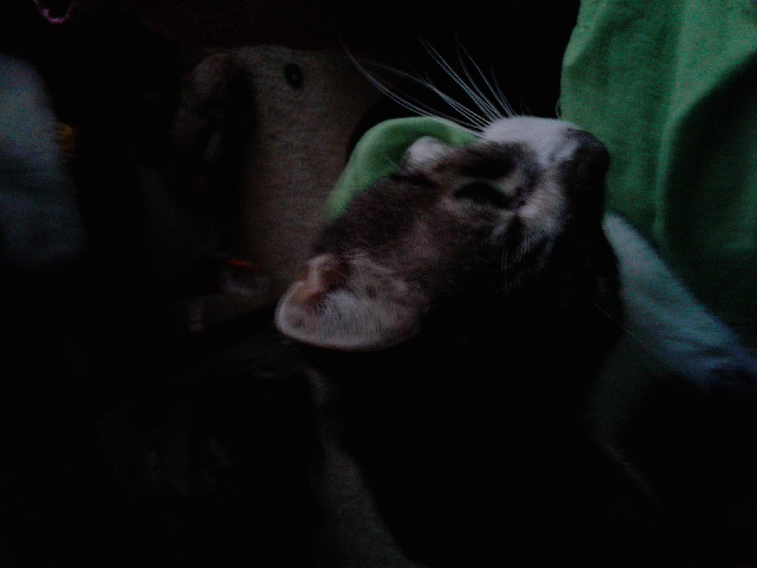 Question details sensitive content