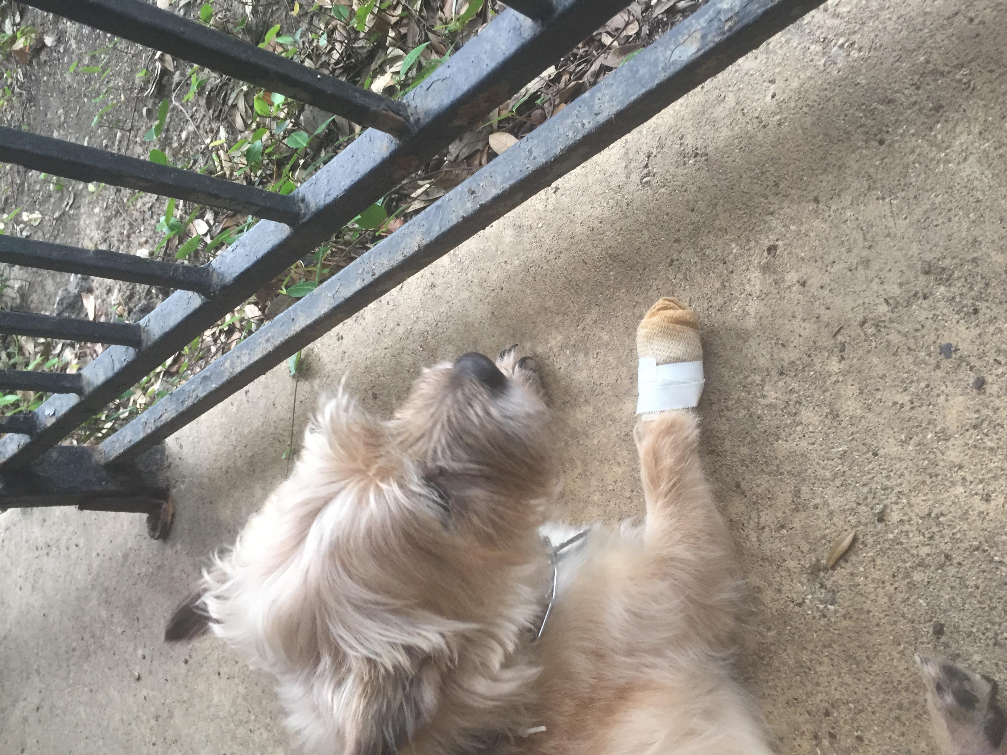 Question details sensitive content