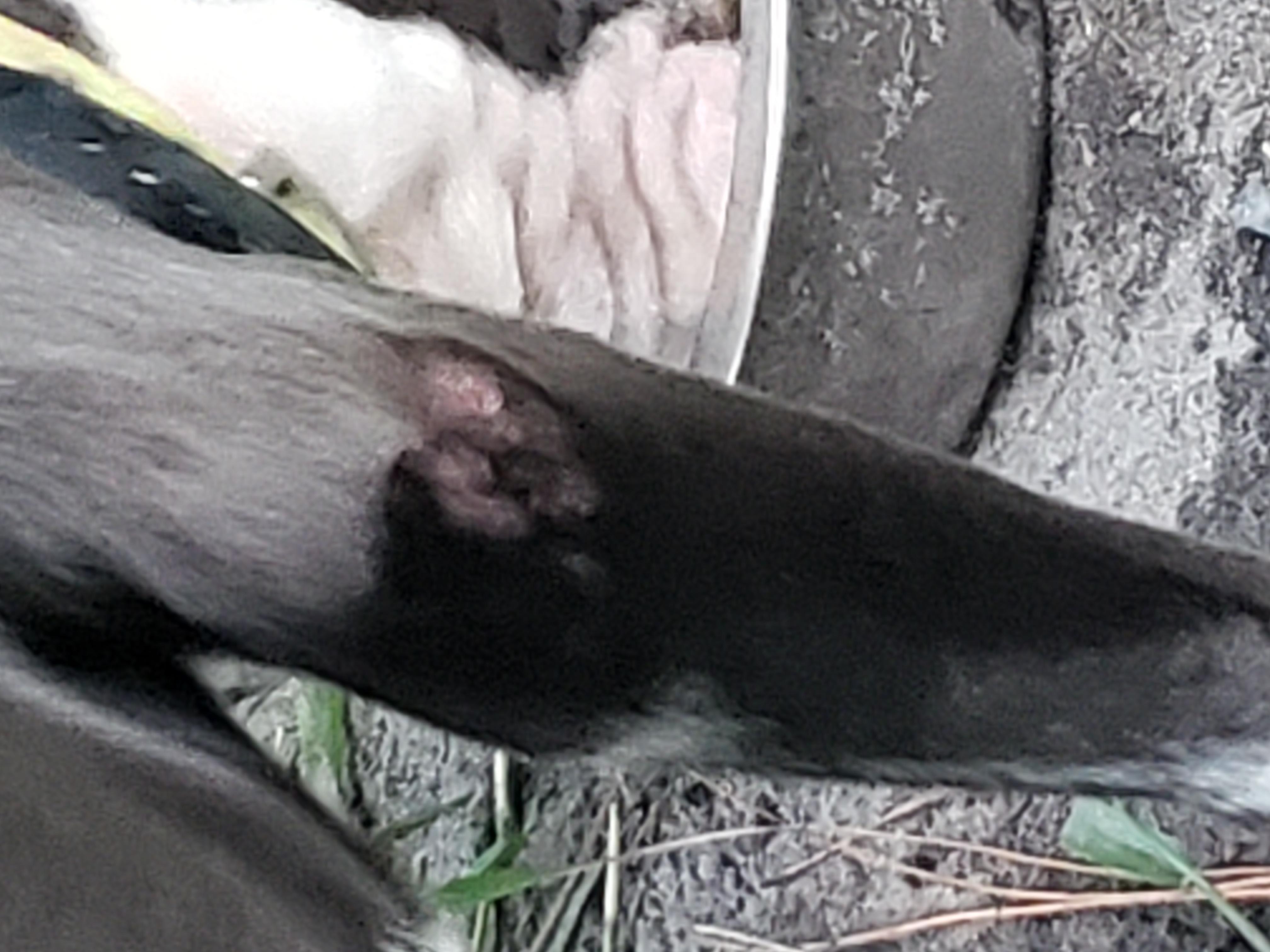 Question details sensitive content