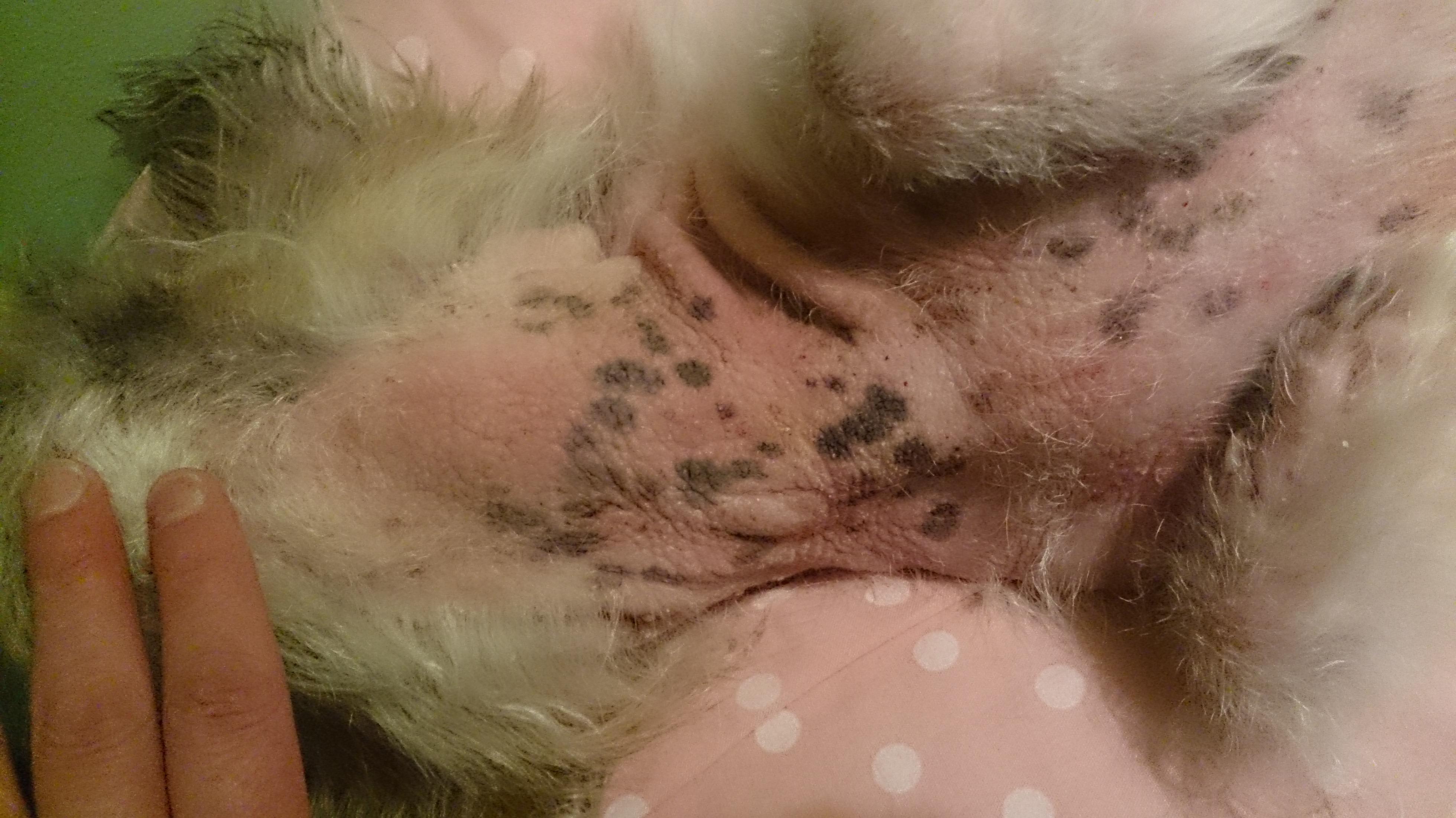 Question details sensitive content