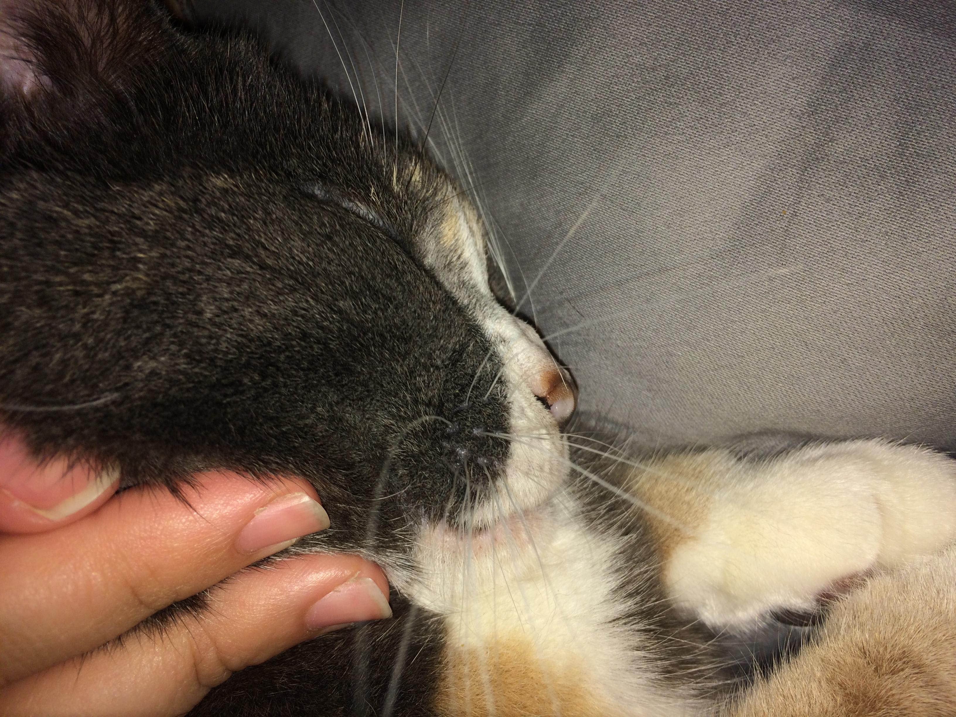 Question details sensitive content