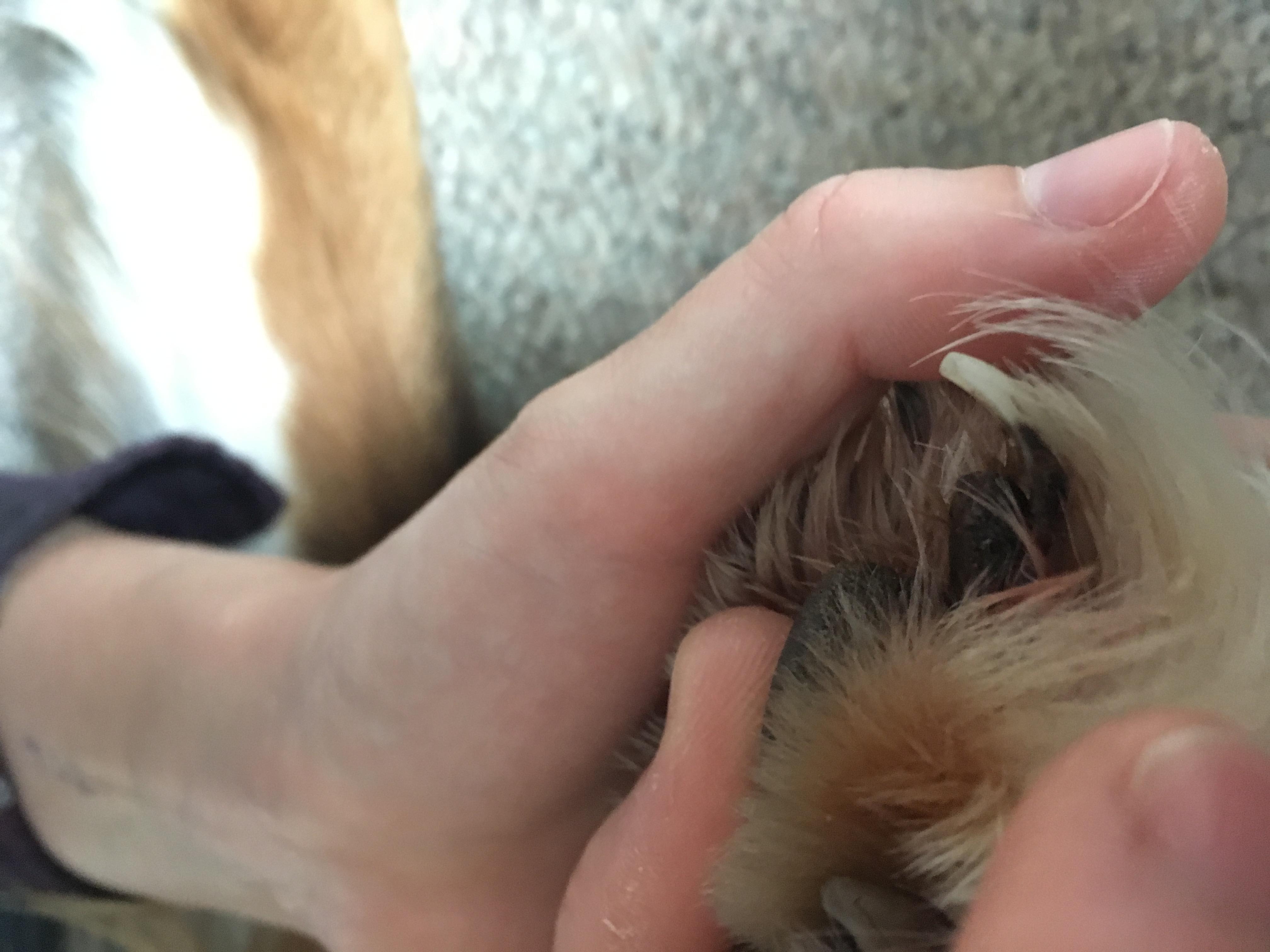 Question details sensitive content