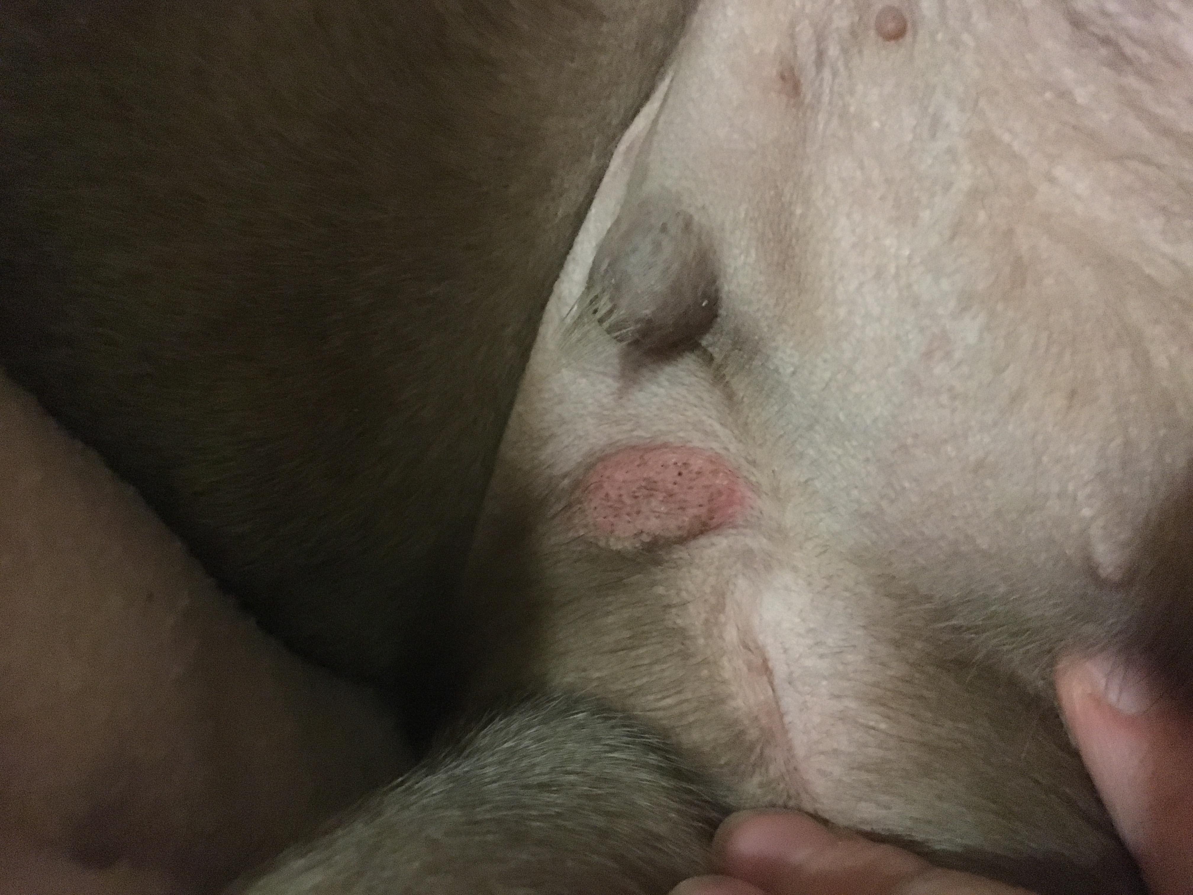 Question details sensitive content