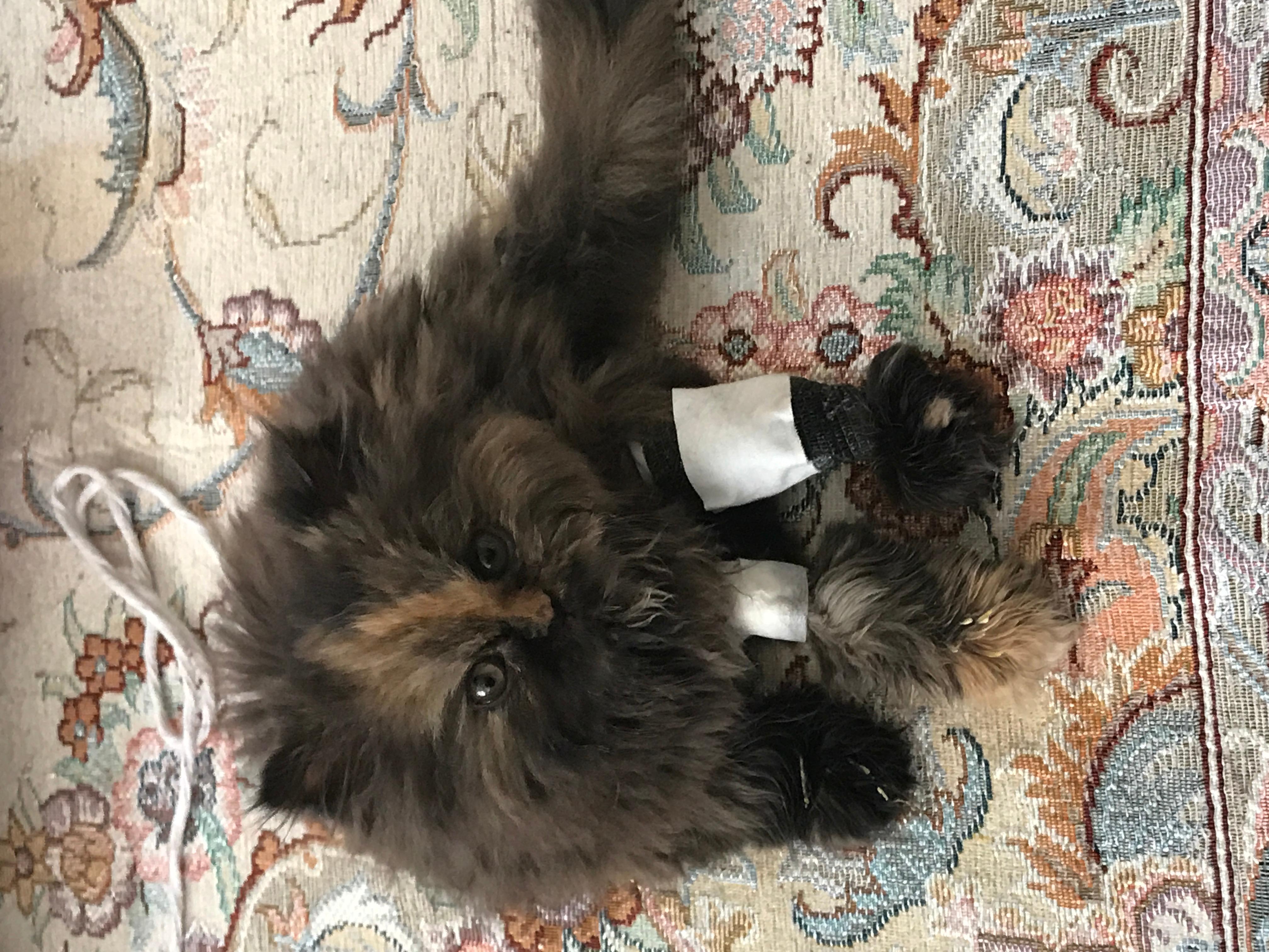 Question details sensitive content