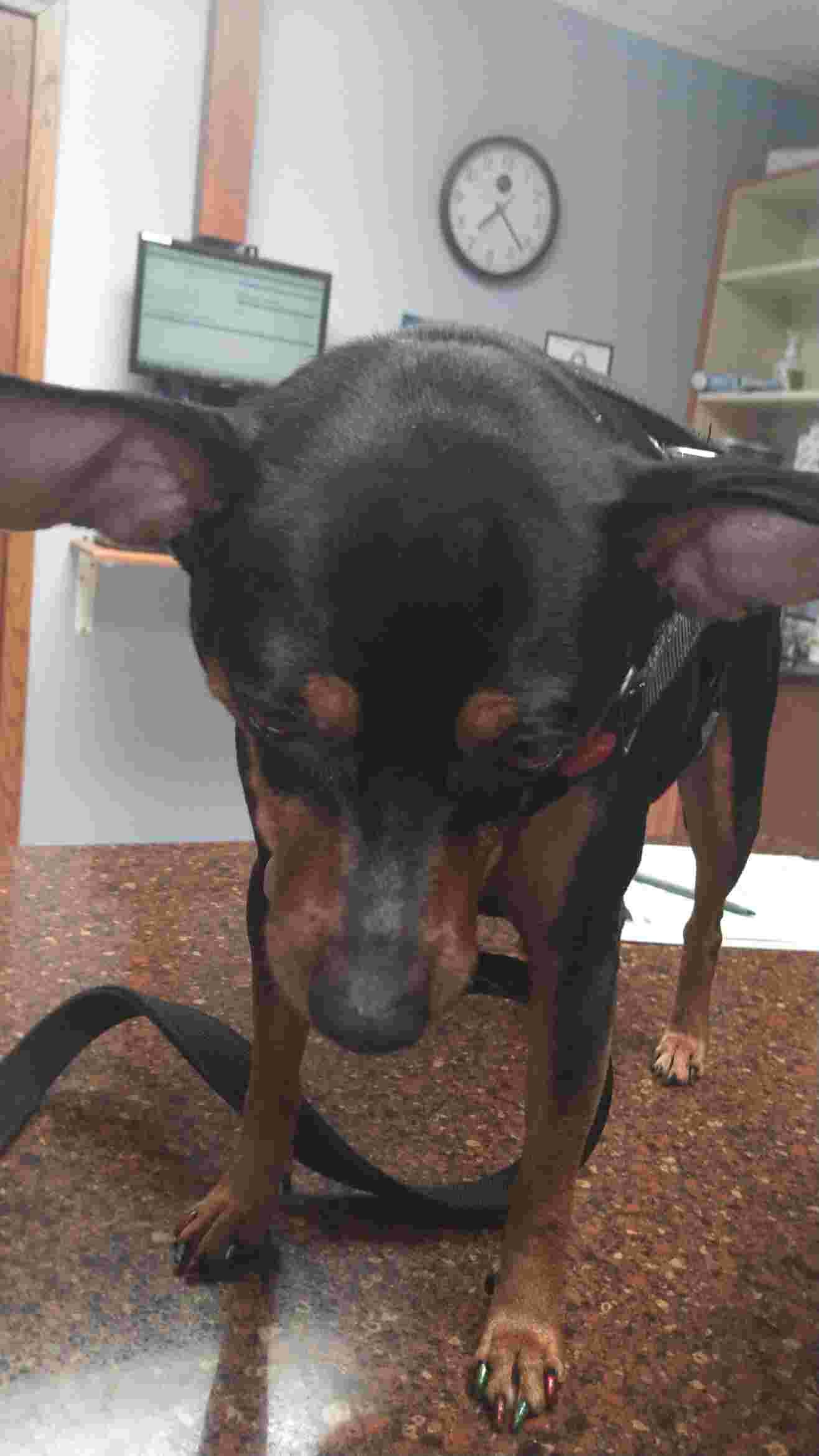 Question details sensitive content