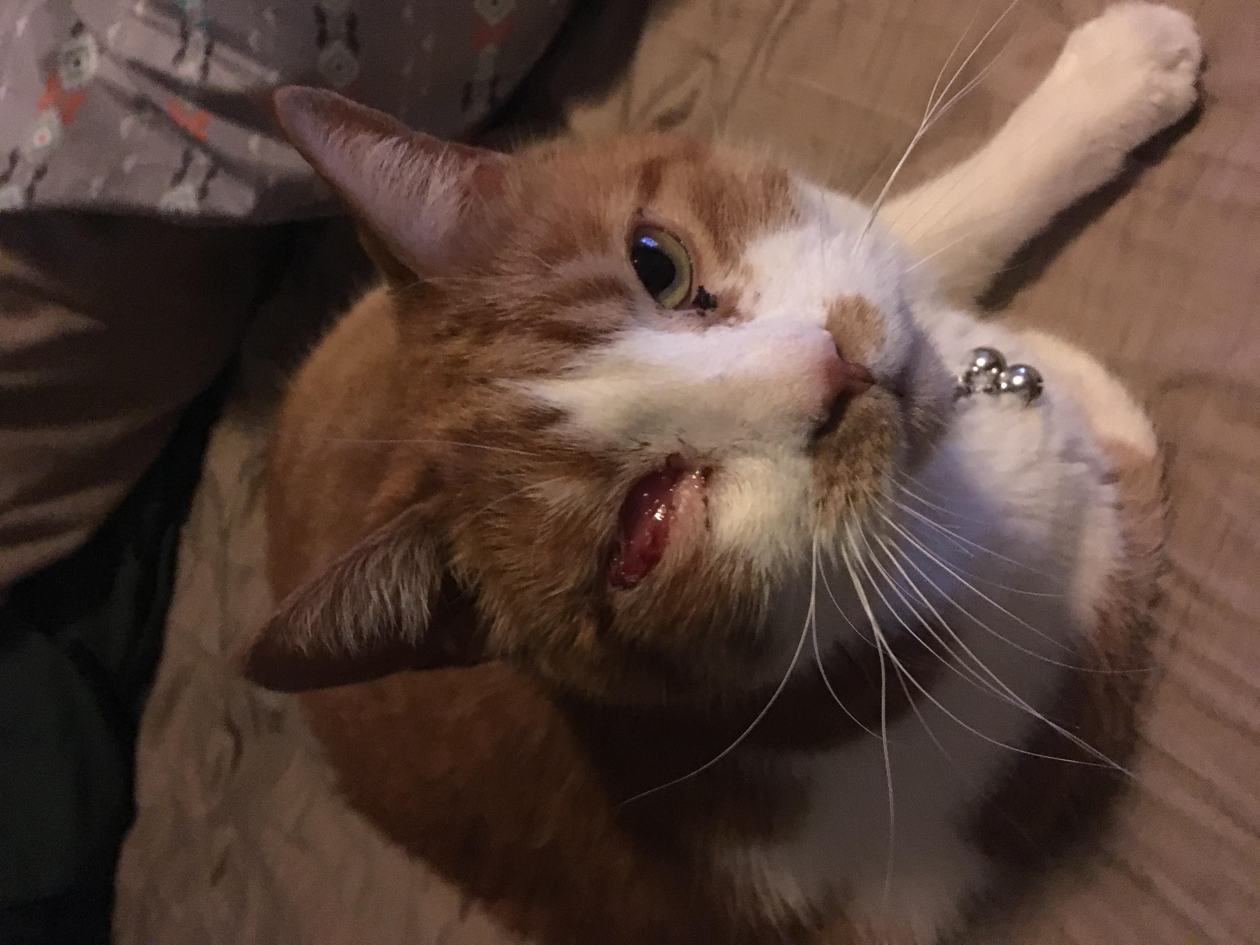 Question details sensitive content